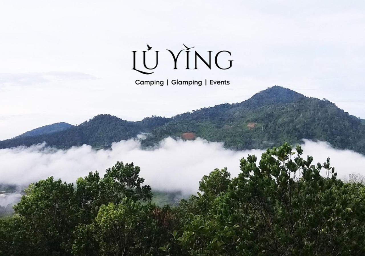Lù Yīng Retreats photo 1