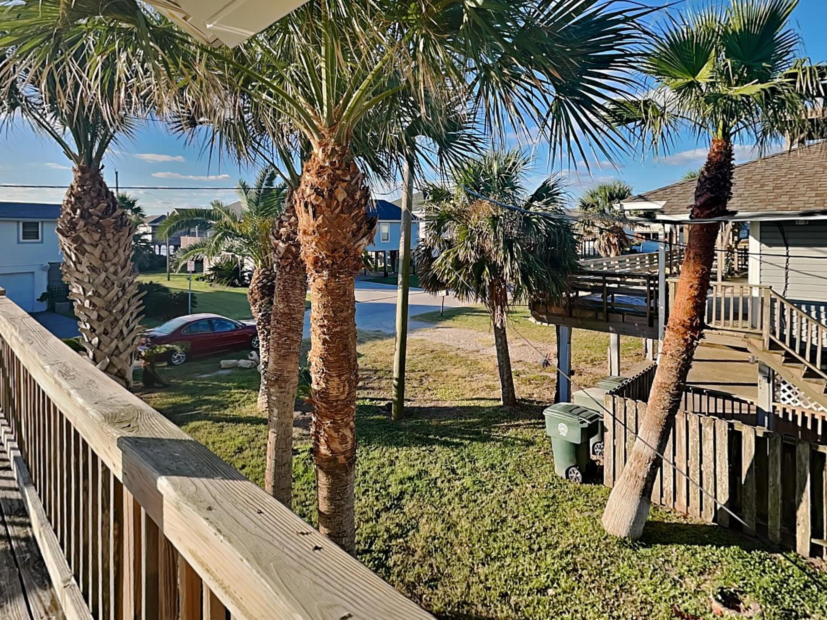 Beach Oasis
