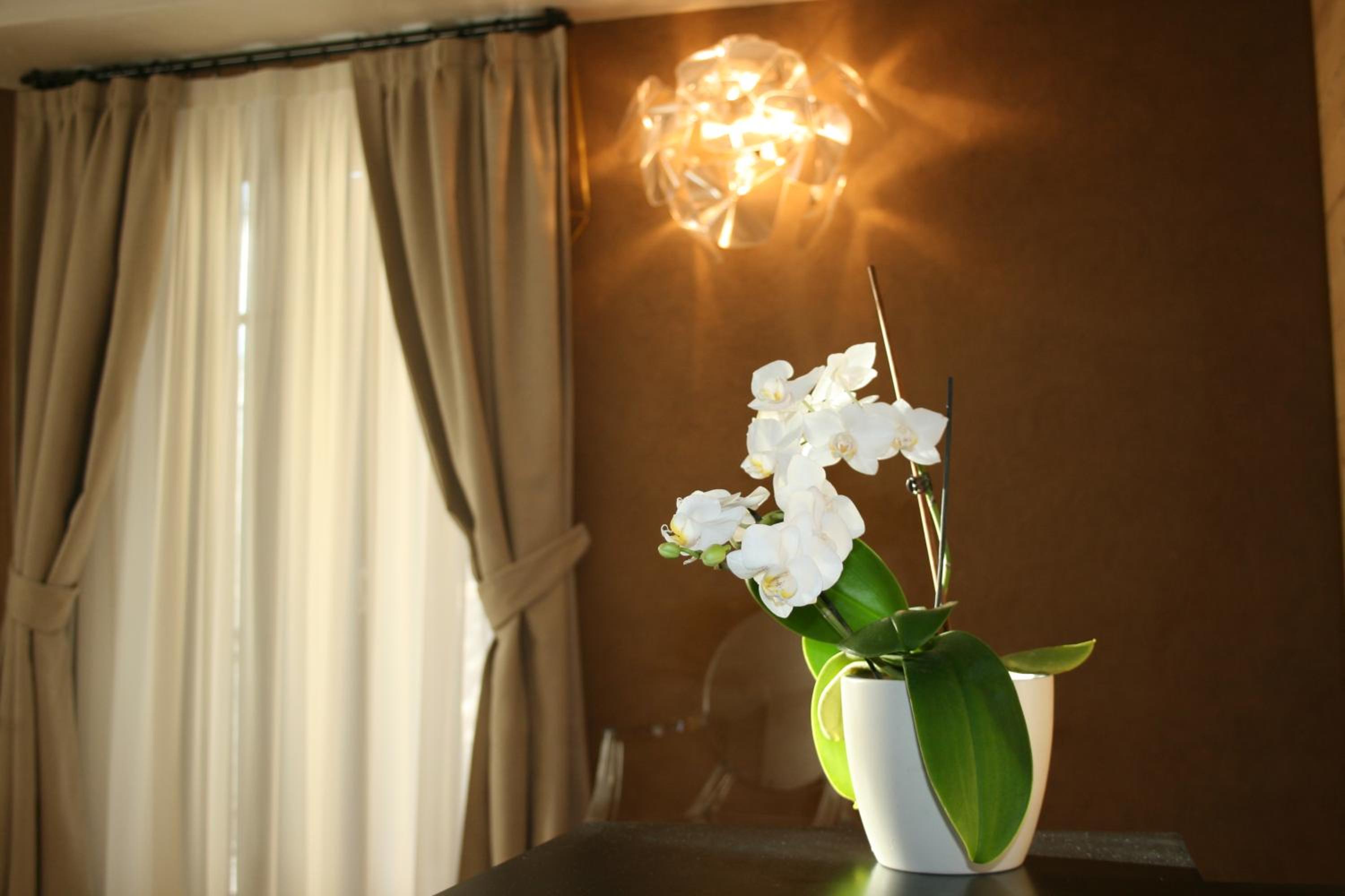 Hotel Orso Grigio