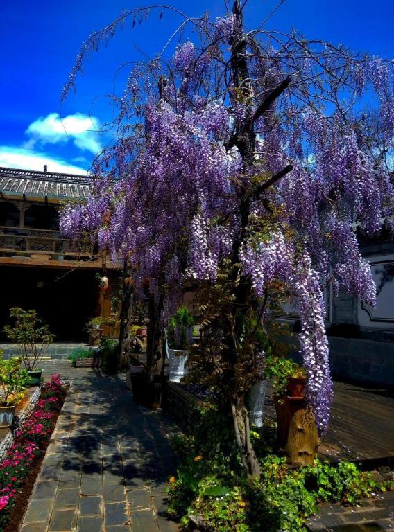 Lijiang Baisha Holiday Resort
