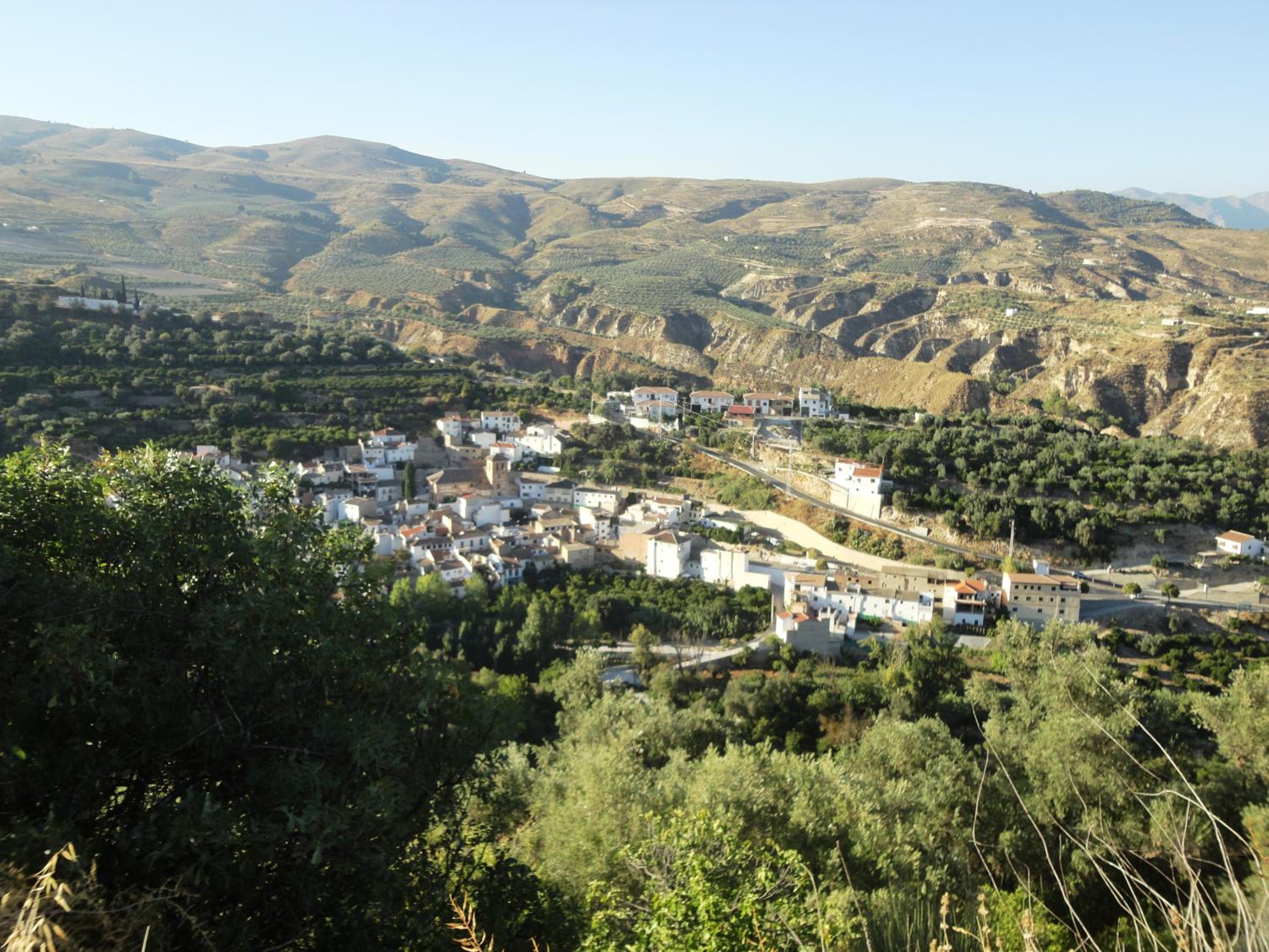 Hostal y Apartamento Rural Los Naranjos