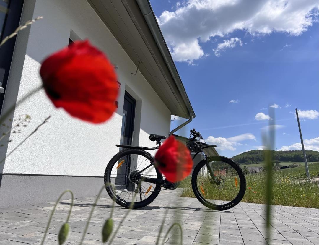 Diemelblick 39