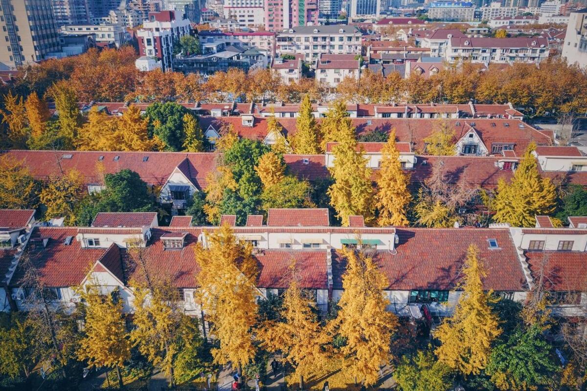Shanghai Hills & Gefii Kumomon