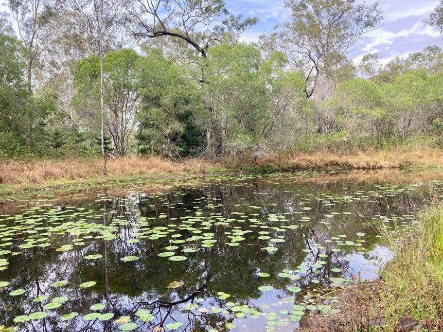 Casa Verde Off-grid hideaway Agnes Water 1770