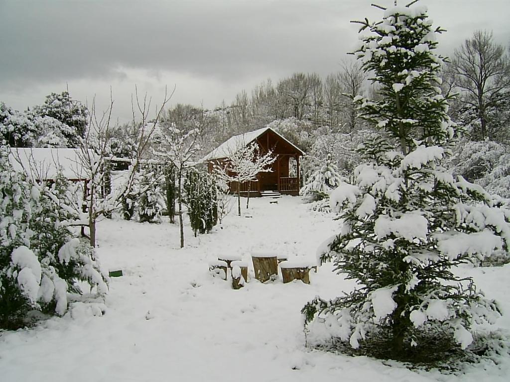 Photo 22