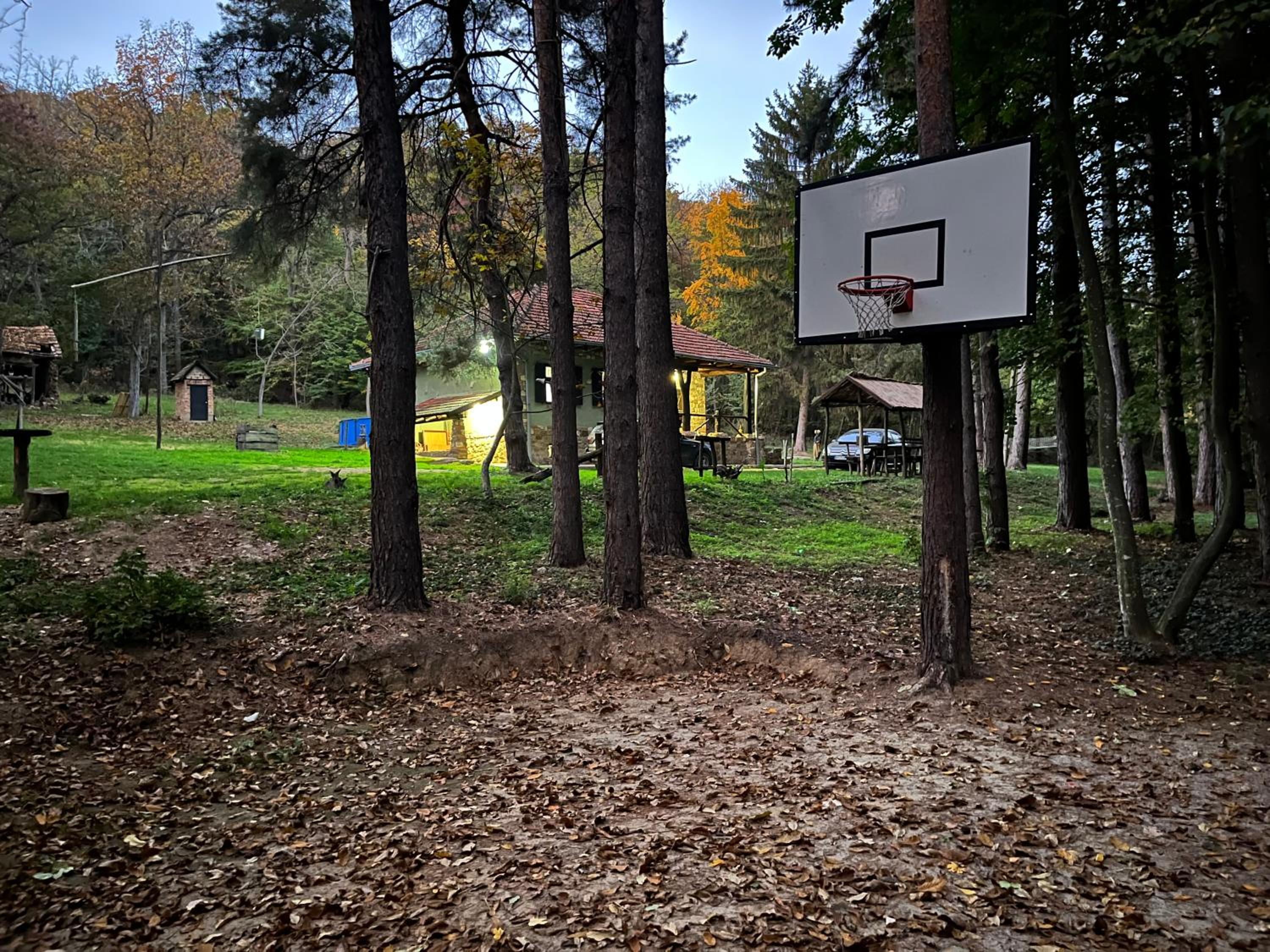 Vila Fruškogorski Mir