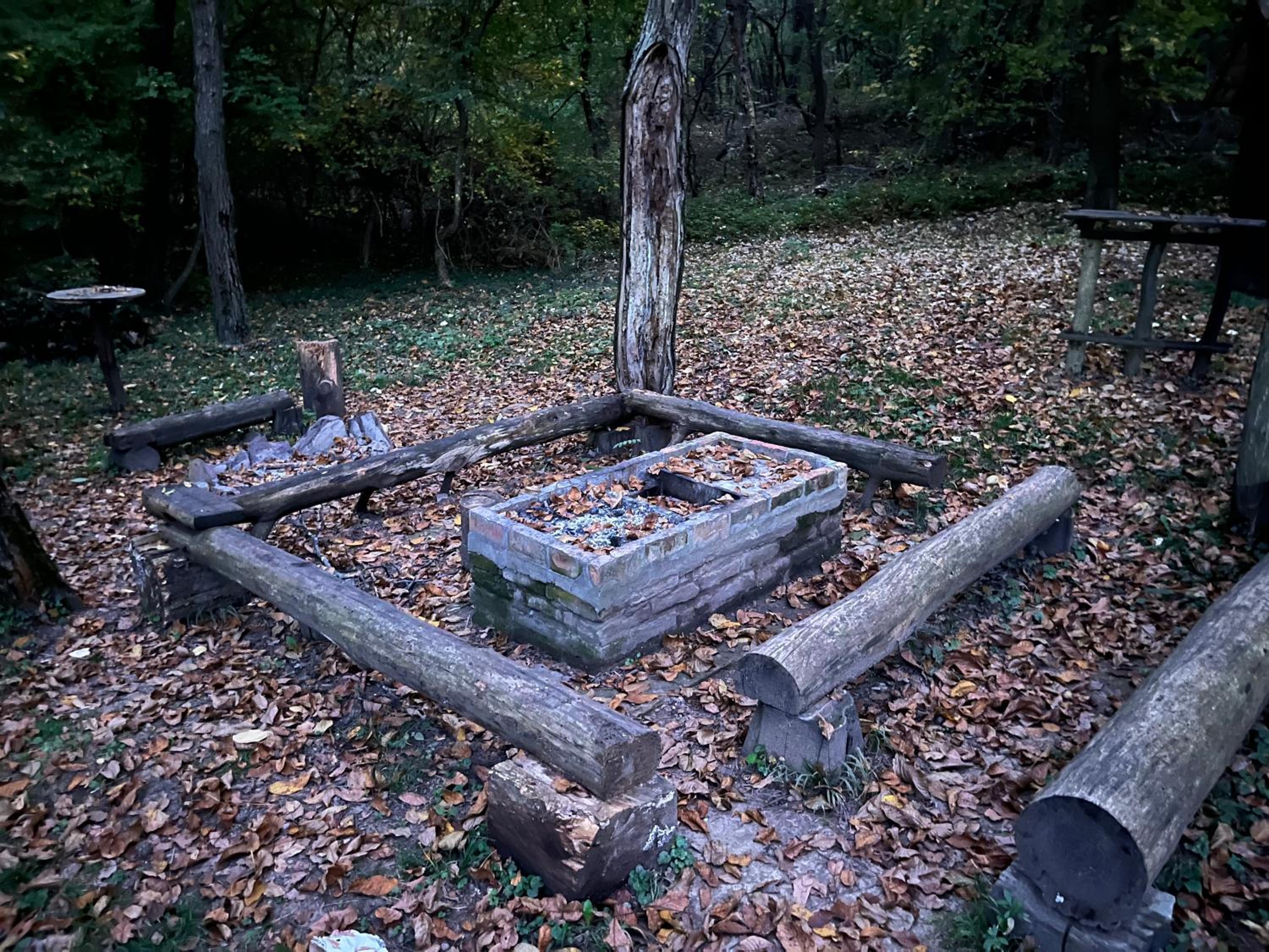 Vila Fruškogorski Mir