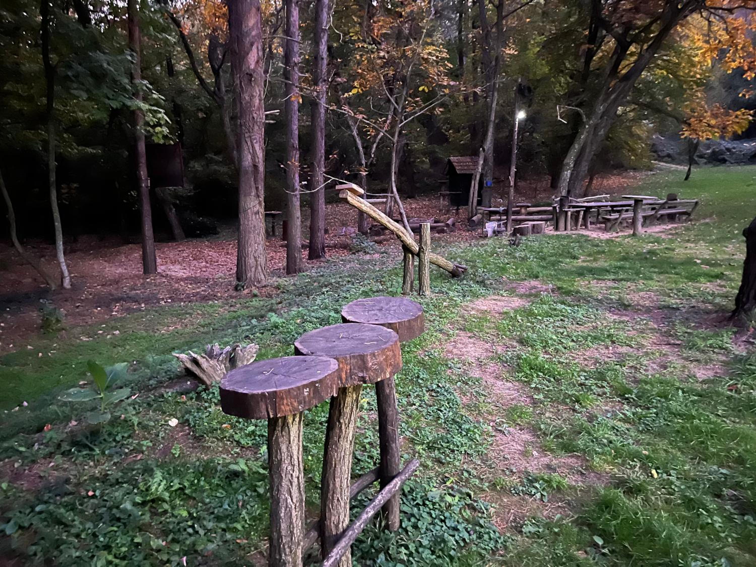 Vila Fruškogorski Mir