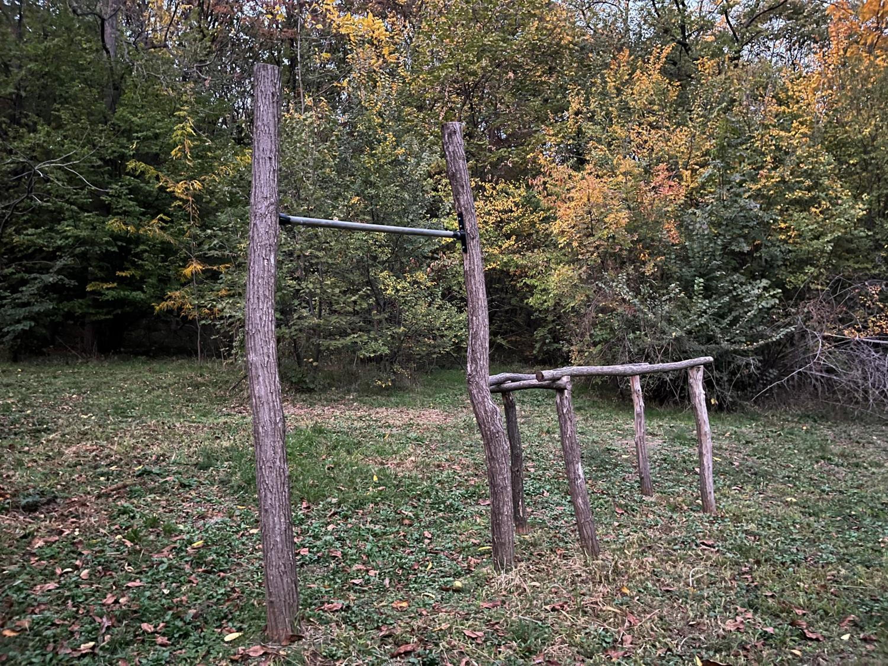 Vila Fruškogorski Mir