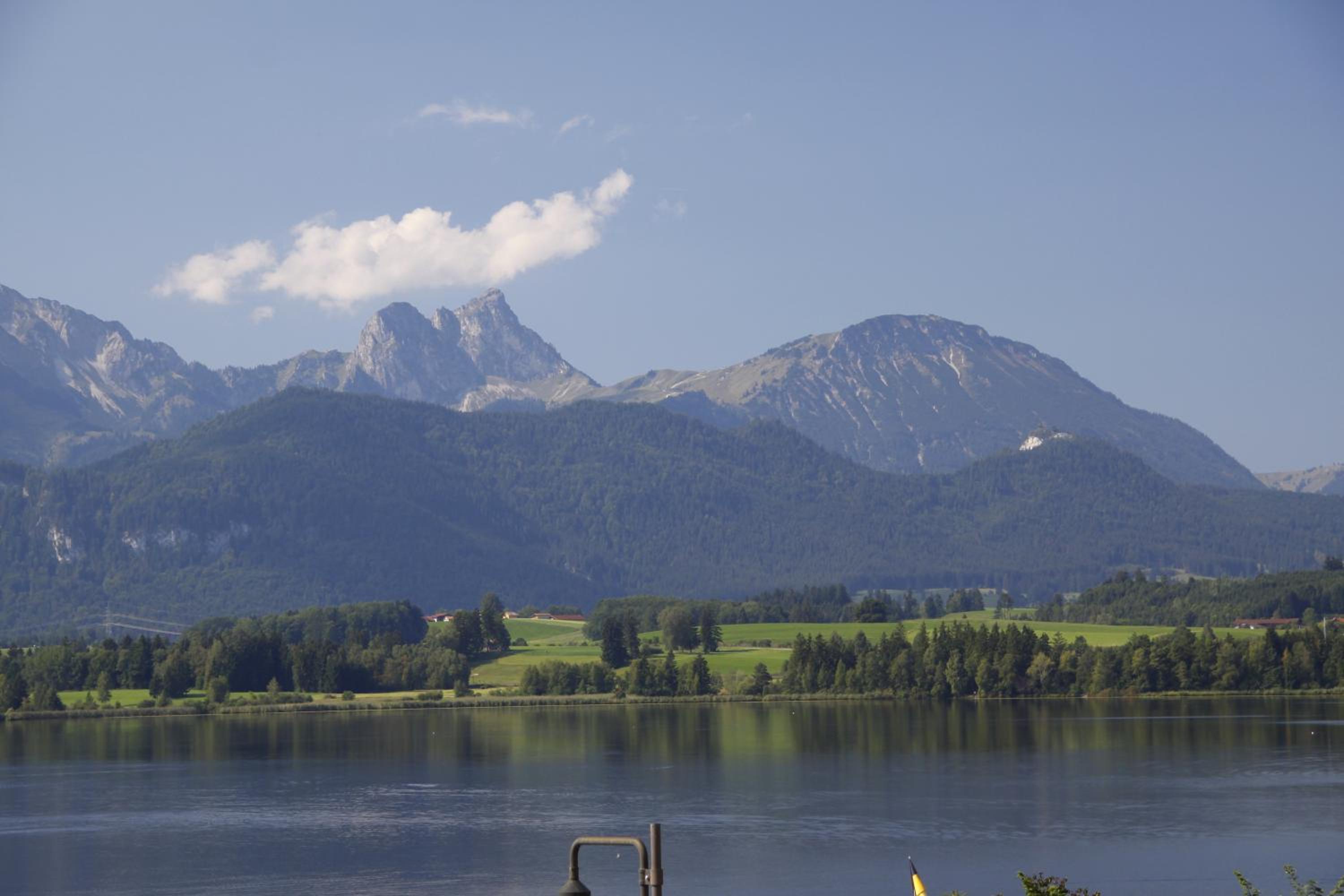 Ferienhaus Mayr - Ferienwohnung Bergblick