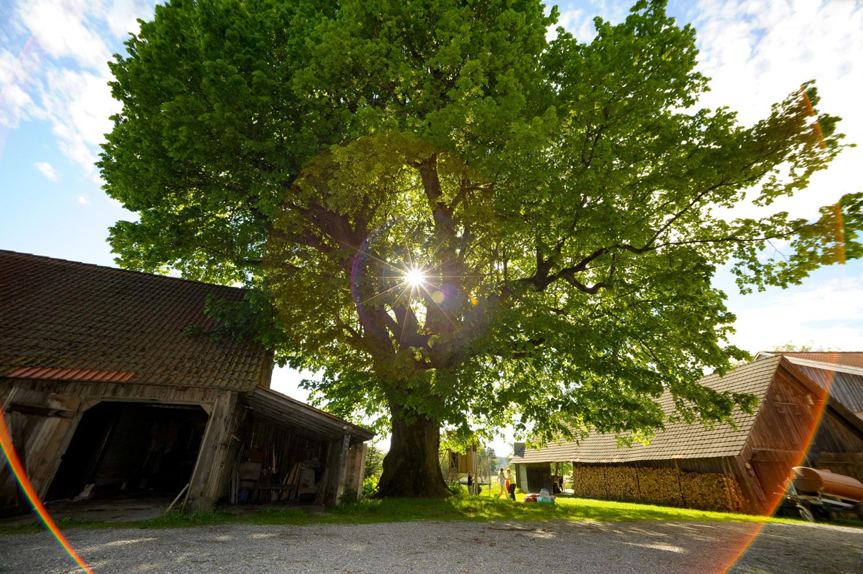 Ferienwohnung Hof Zürnen - Wolfegg