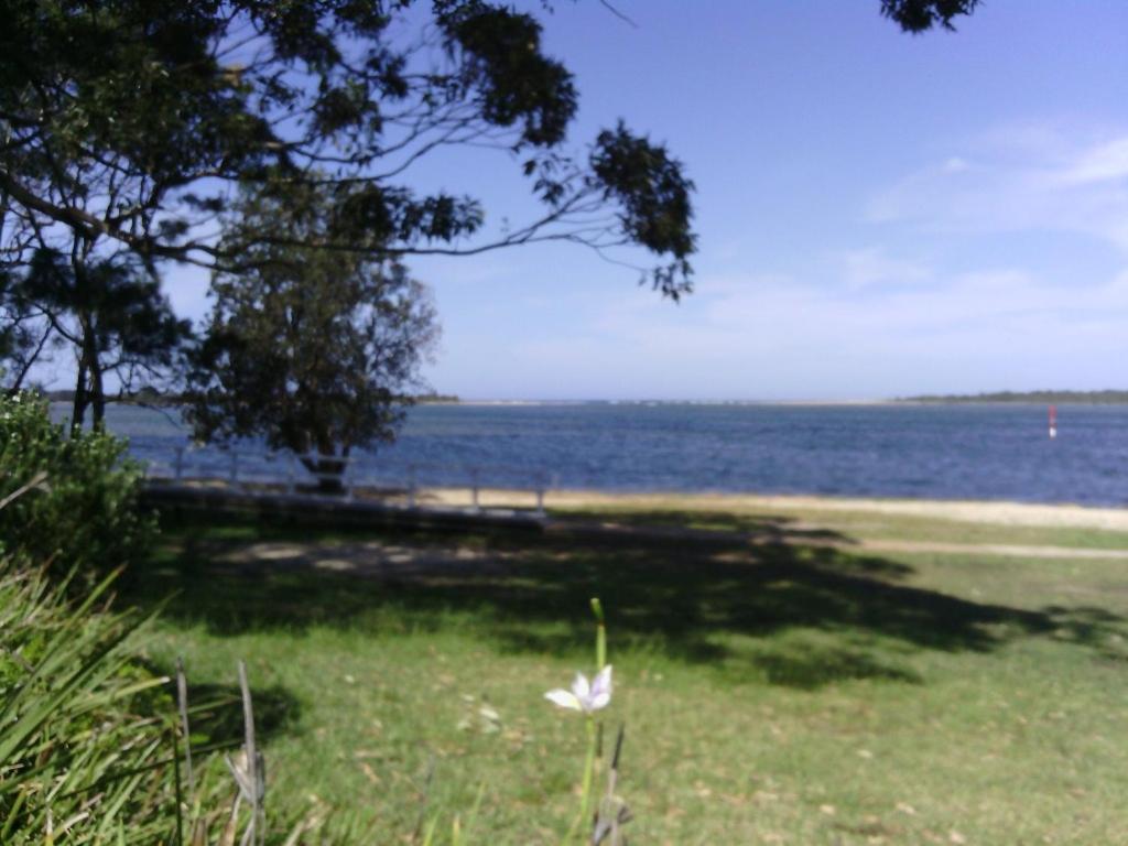 Beachfront Seagulls on Shoalhaven