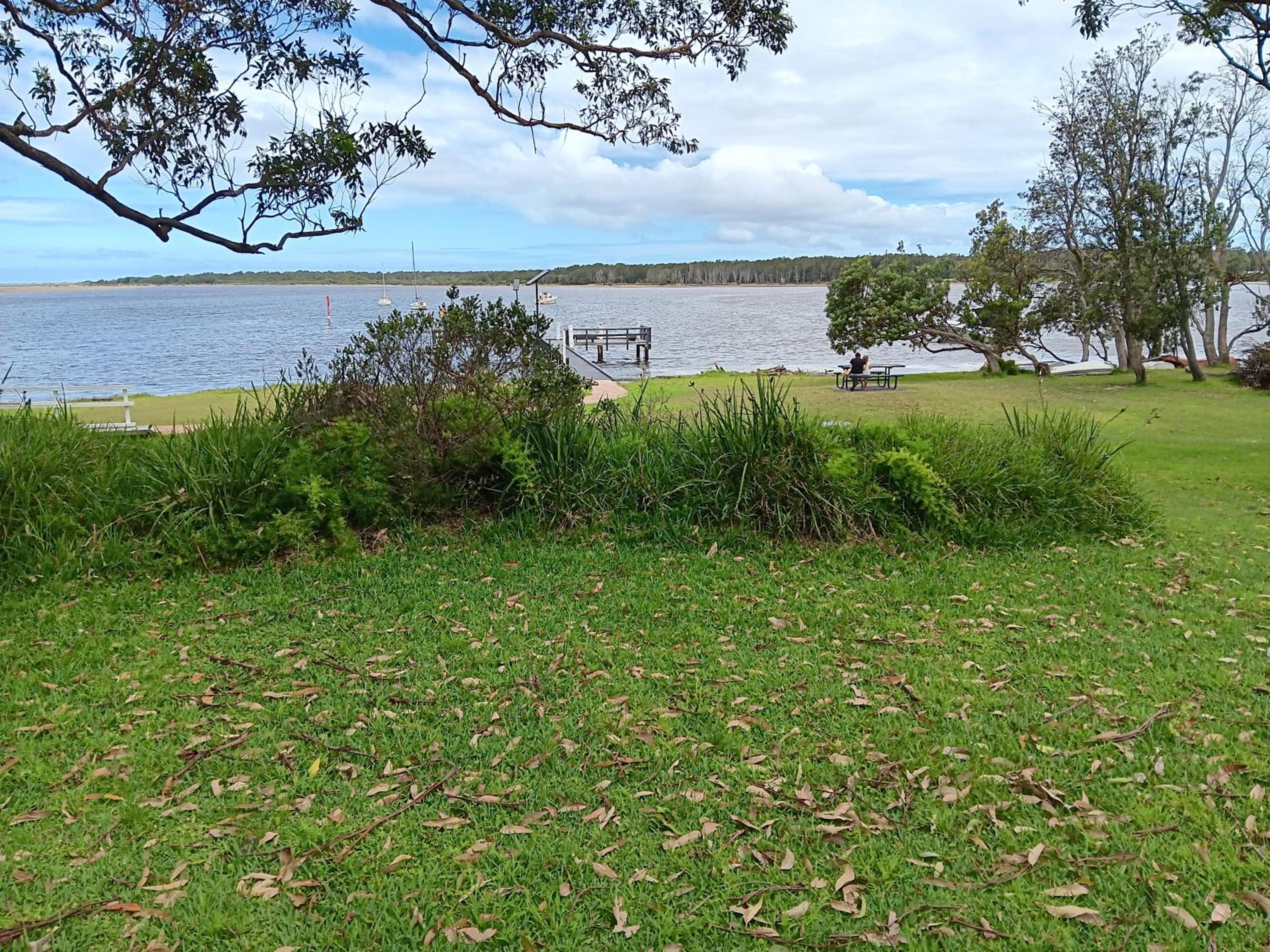 Beachfront Seagulls on Shoalhaven