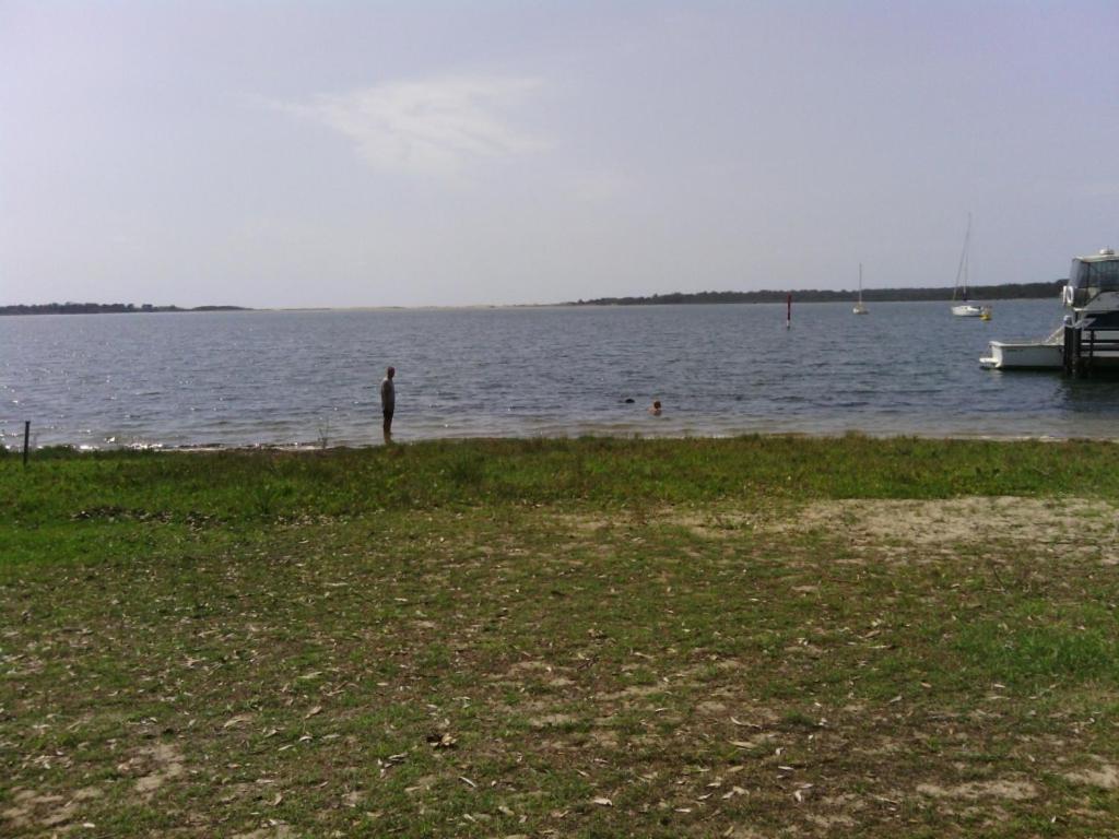 Beachfront Seagulls on Shoalhaven