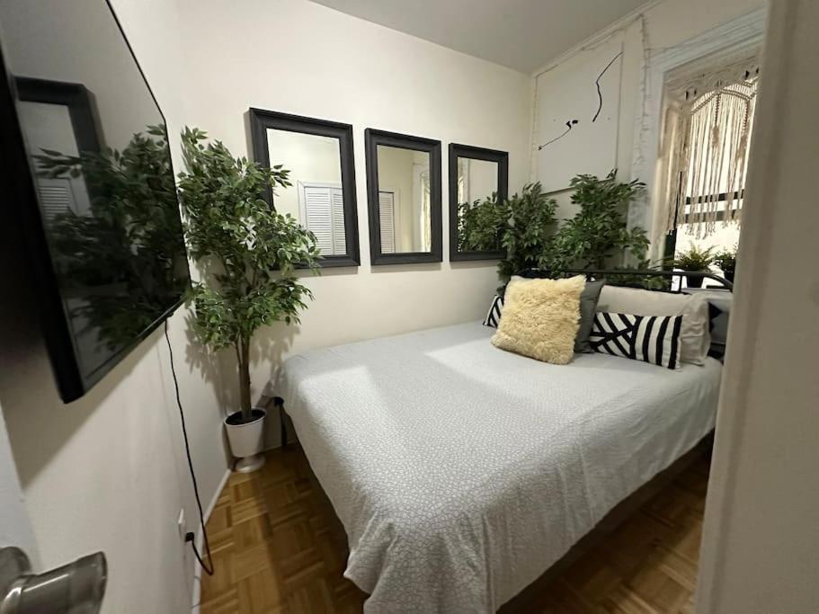 Cozy private apartment in SoHo