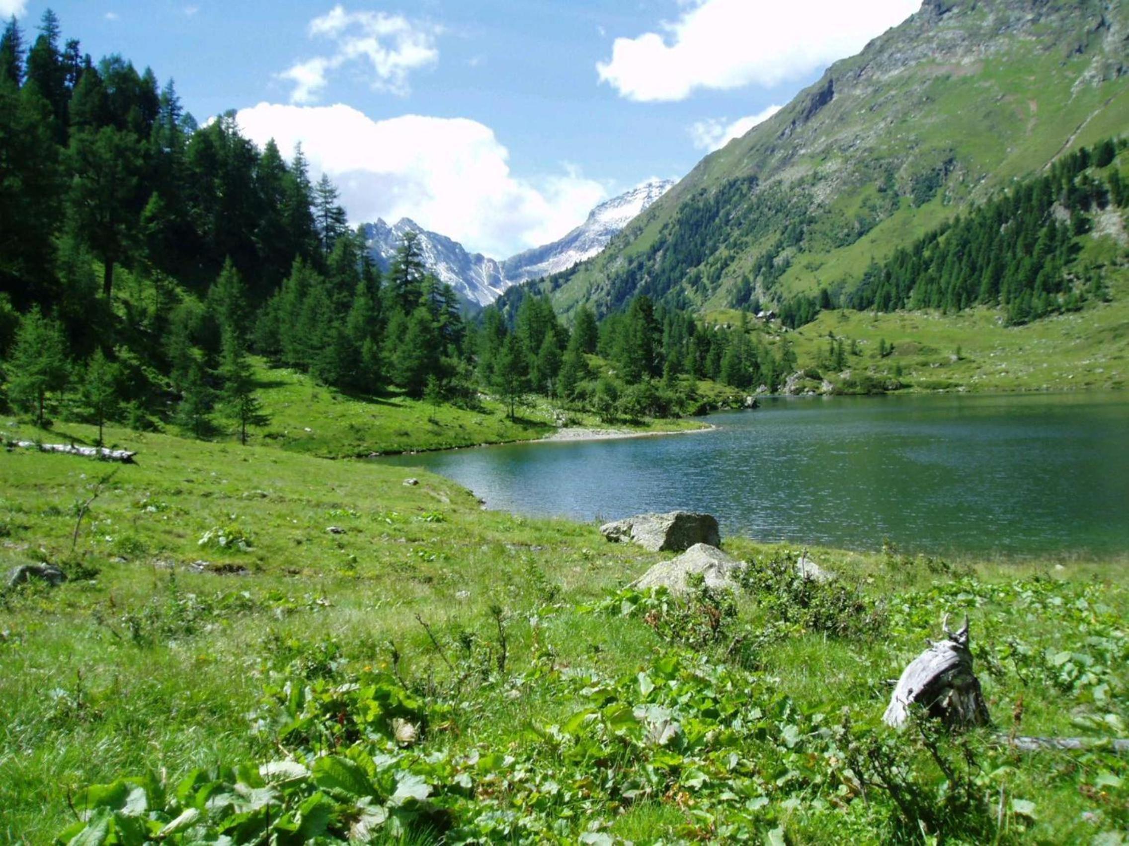 Alpenchalets Weissenbacher-Fuchsbau