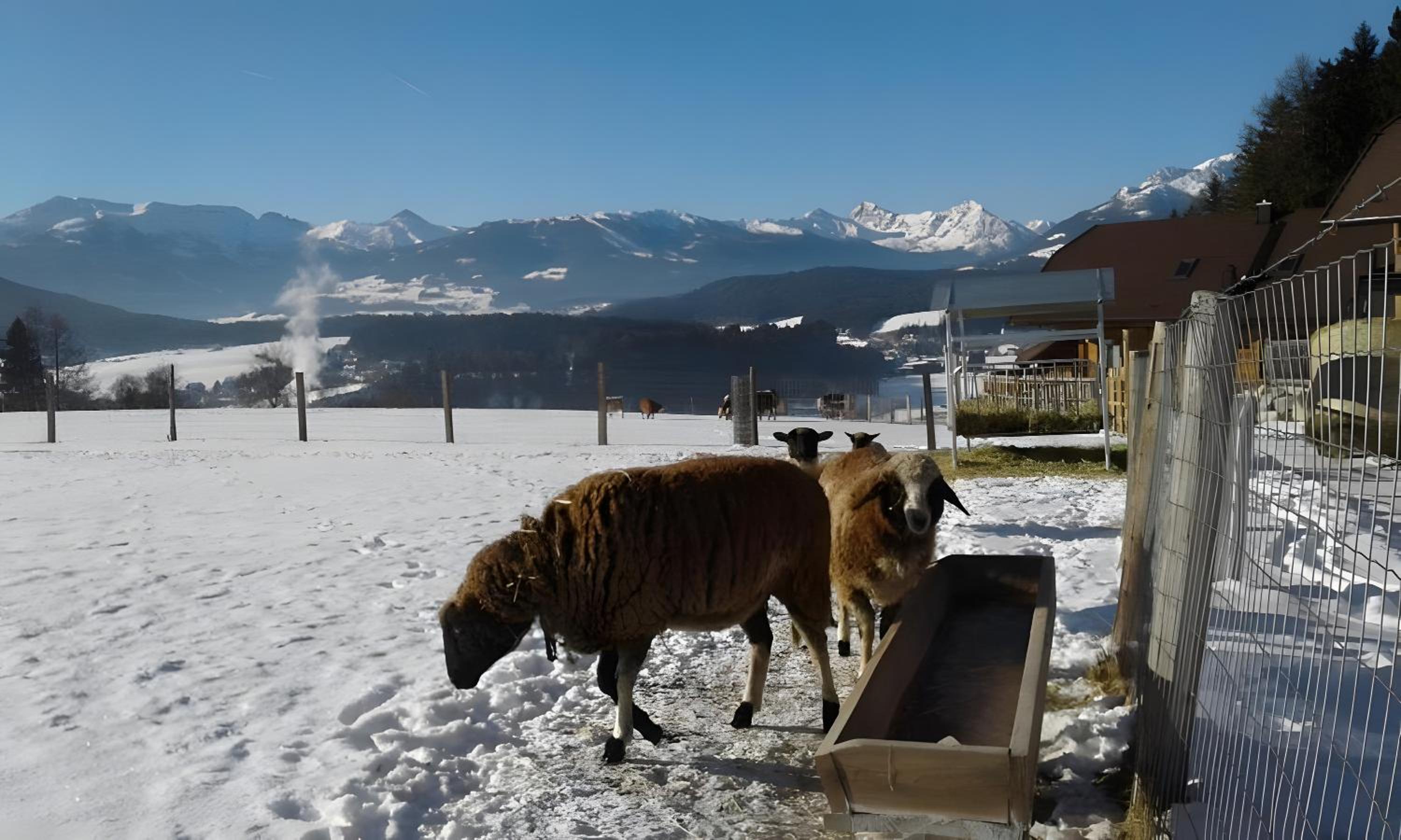 Alpenchalets Weissenbacher-Fuchsbau