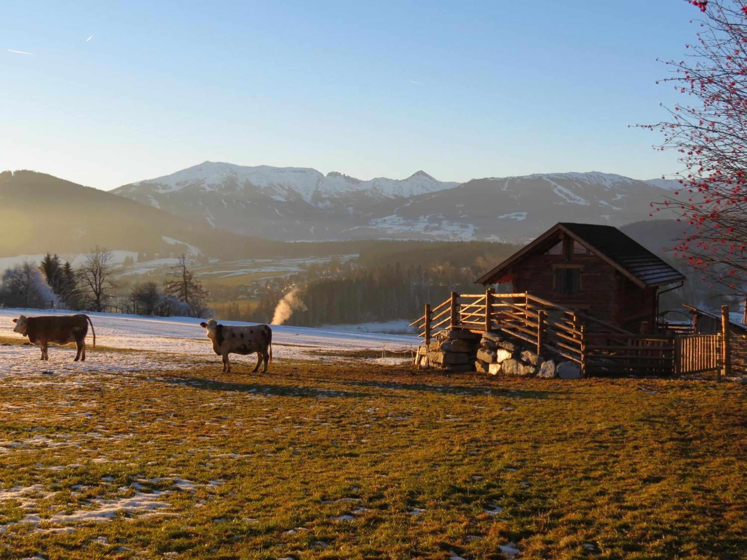 Alpenchalets Weissenbacher-Fuchsbau