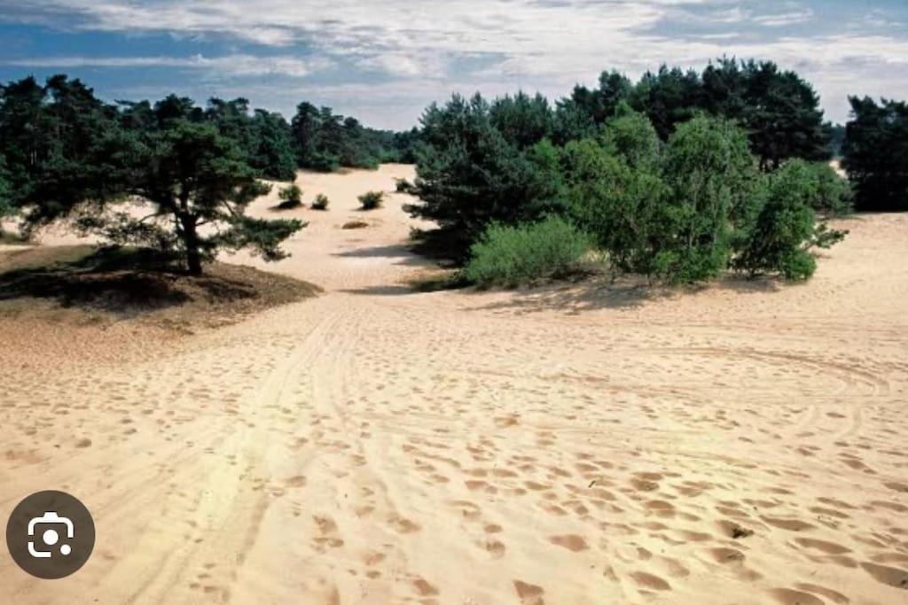 Photo 20