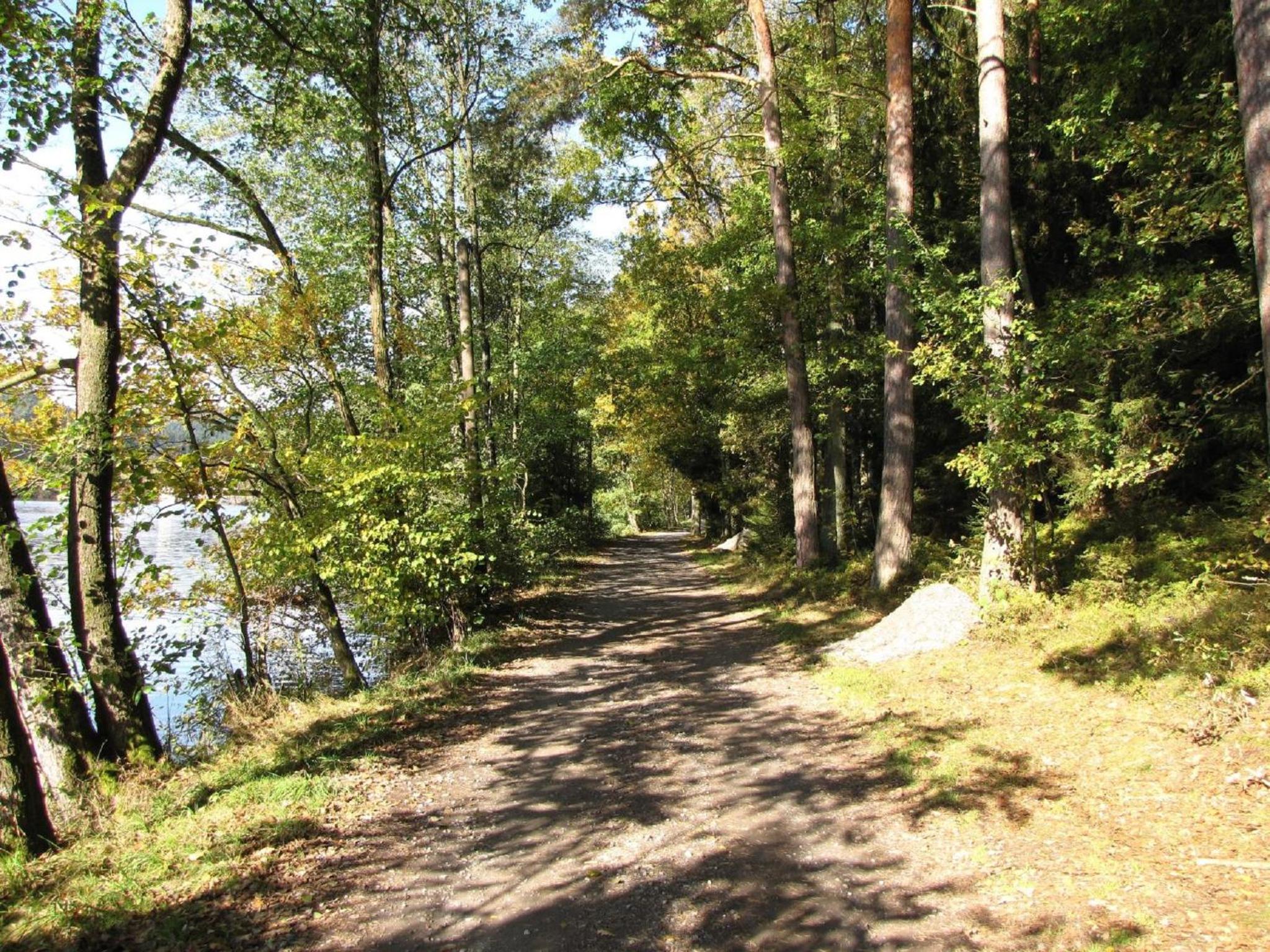 Photo 23