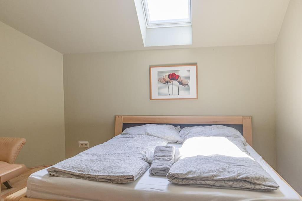 Private Rooms in Elegant Garden Villa with Free Parking