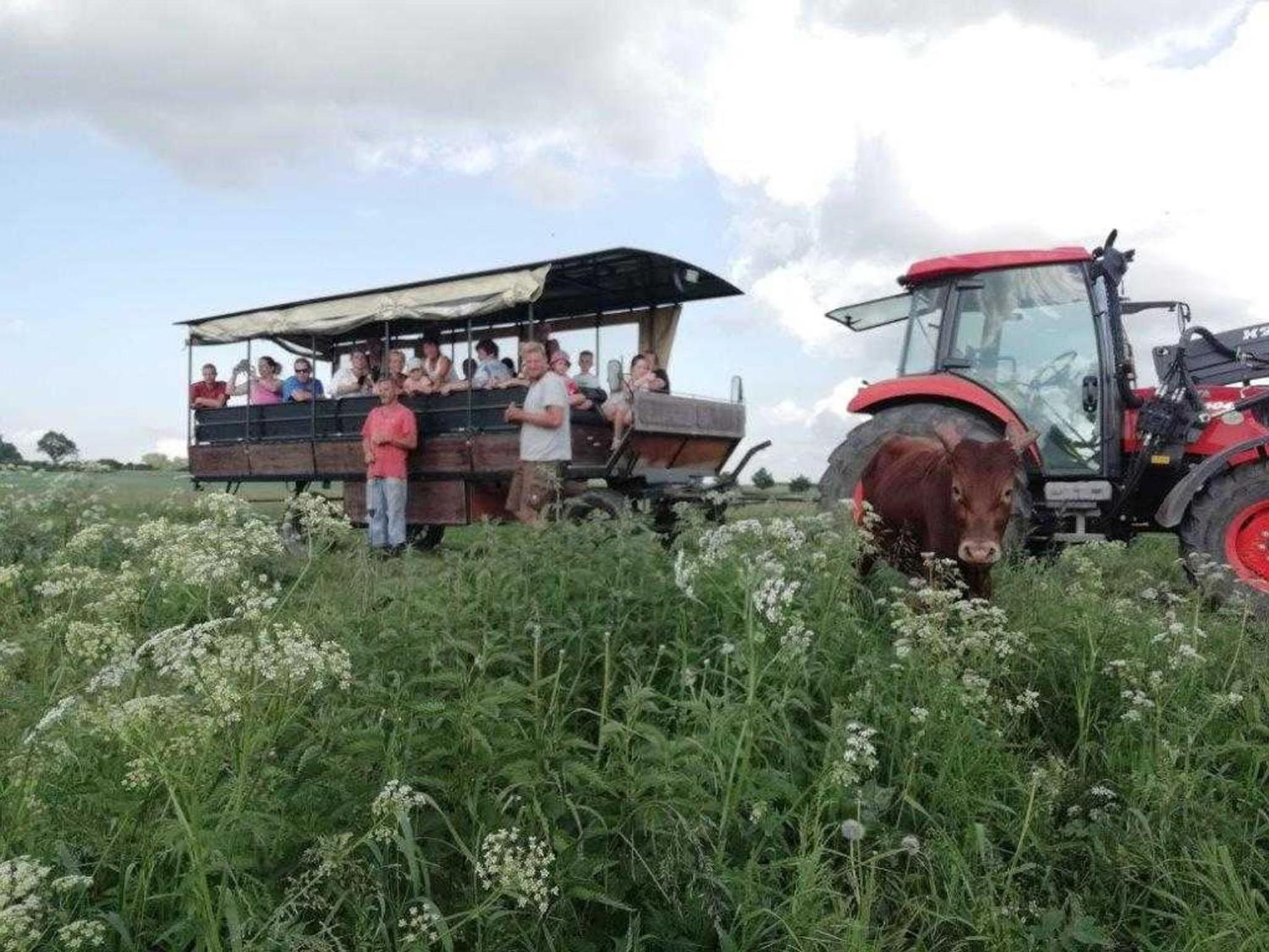Wohlfühlurlaub im Ferienhaus