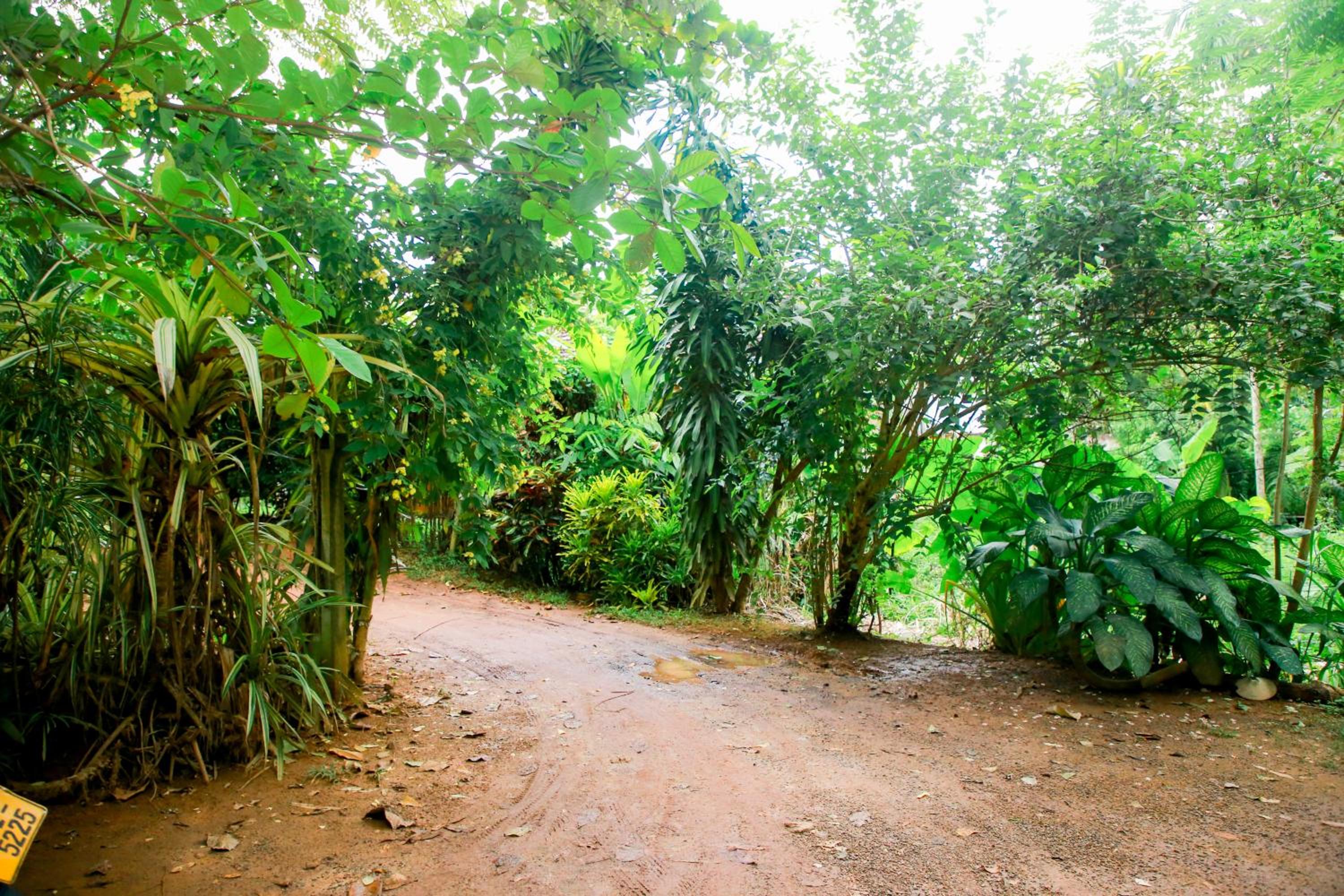 Leo Homestay view 5