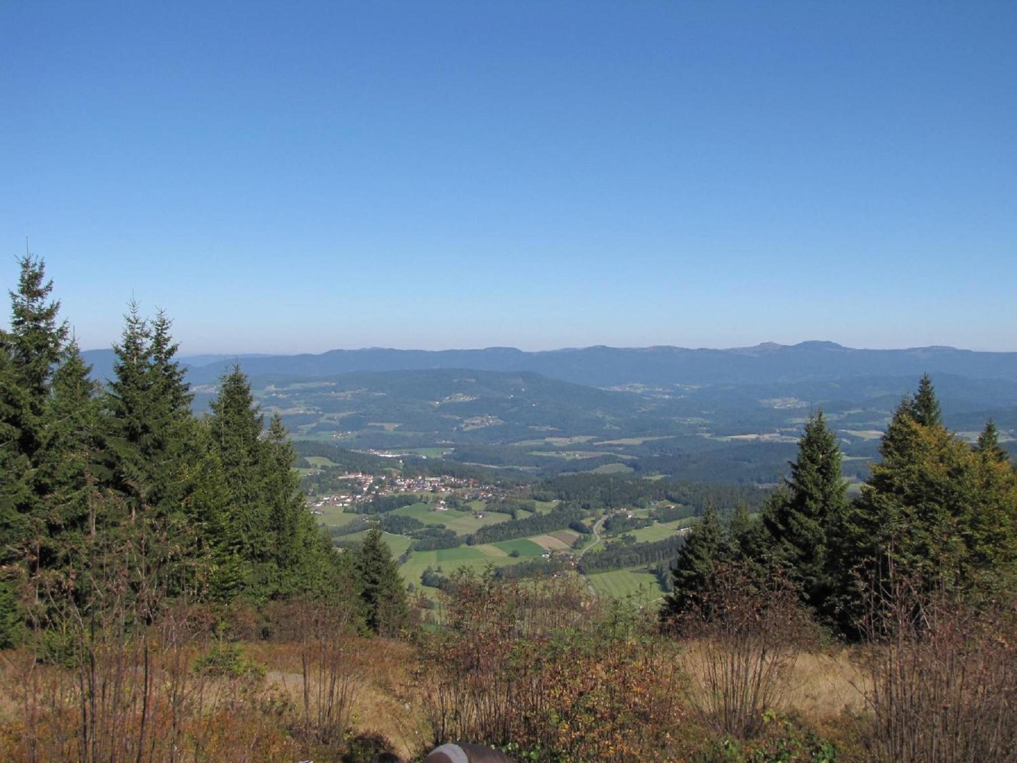 Photo 43