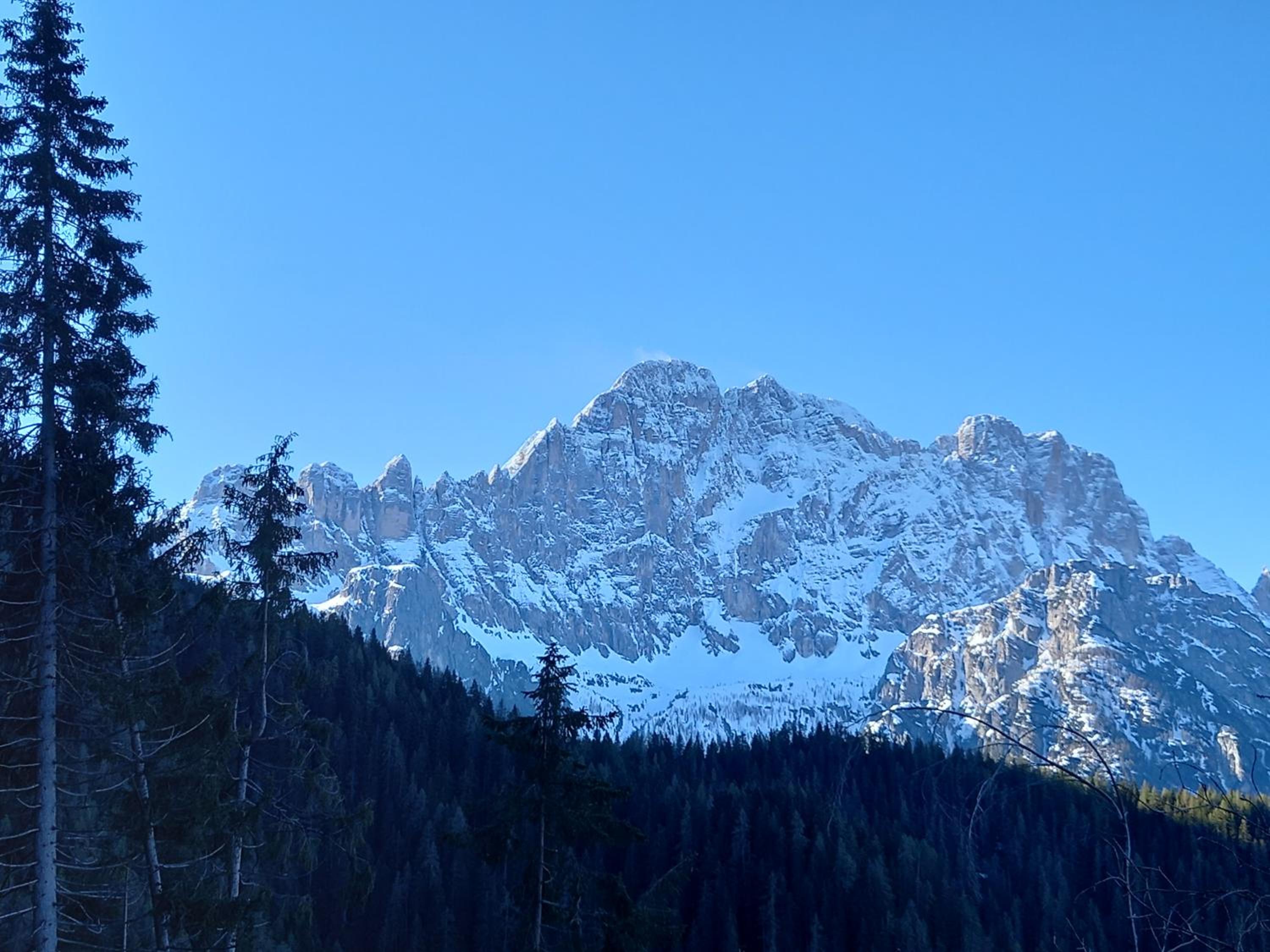 Dolomites Apartment Finestra sul Civetta
