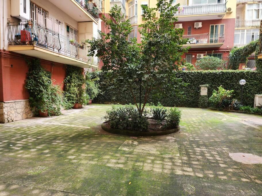 RDhomes Falvo, Vomero