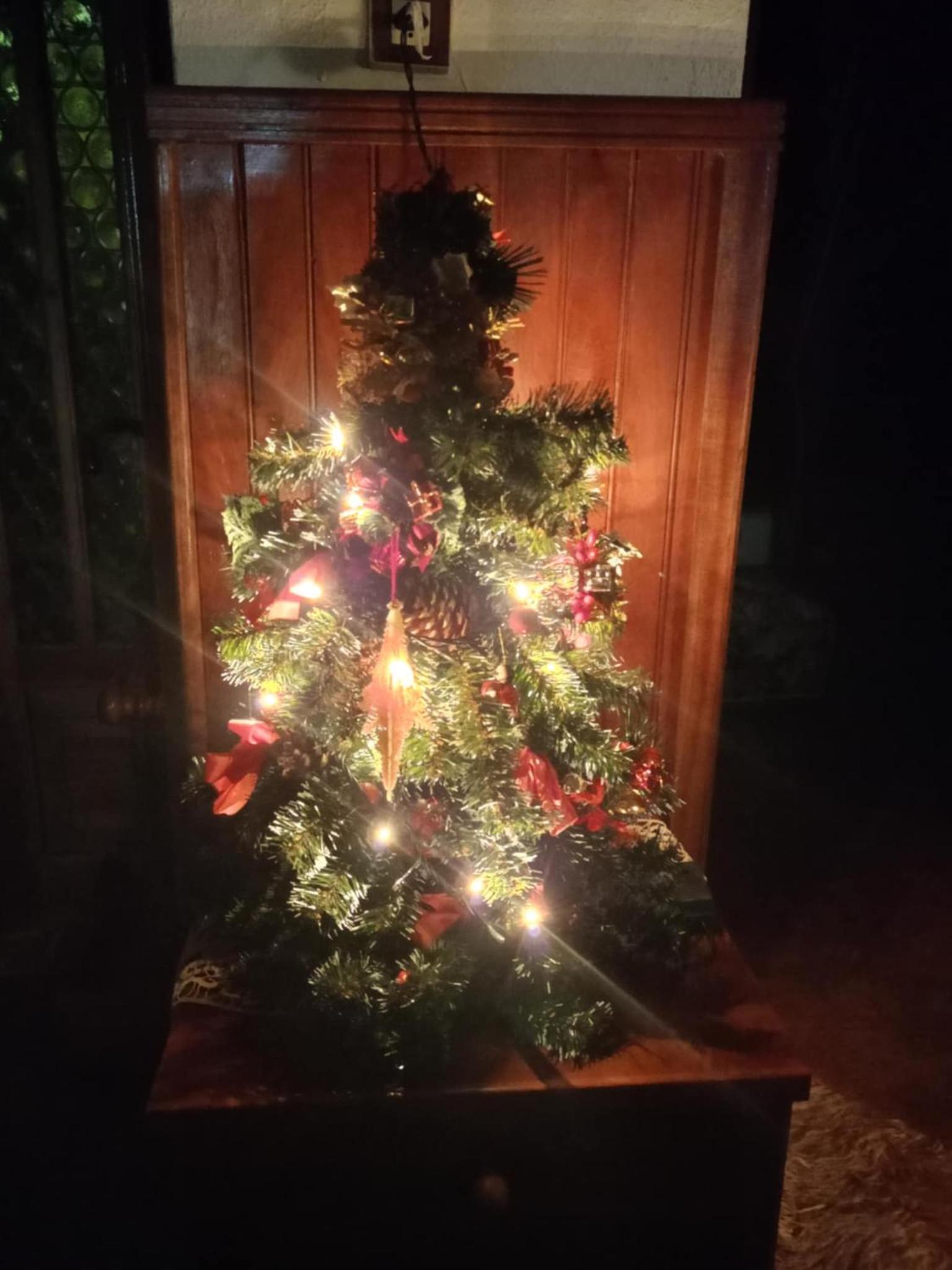 Photo 35