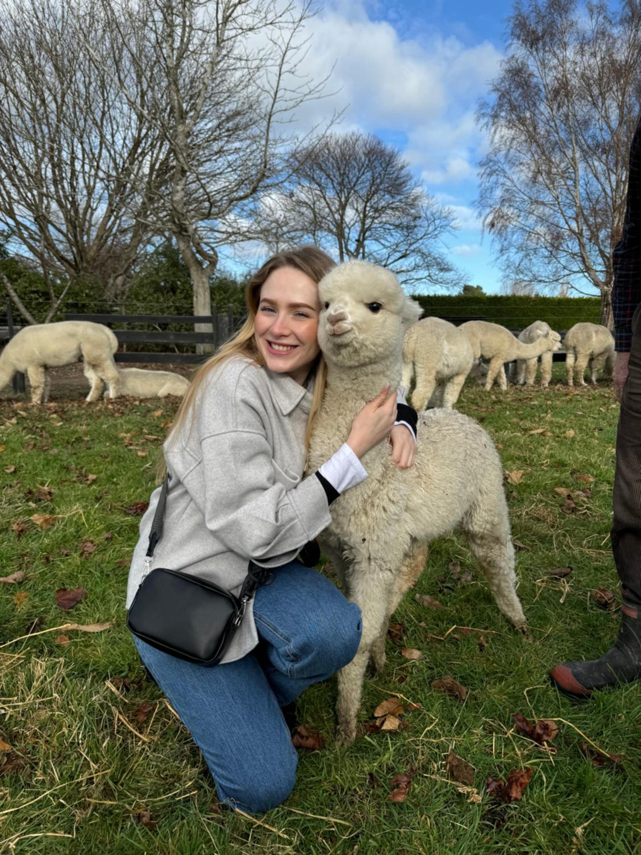Silverstream Alpaca Farmstay & Tour