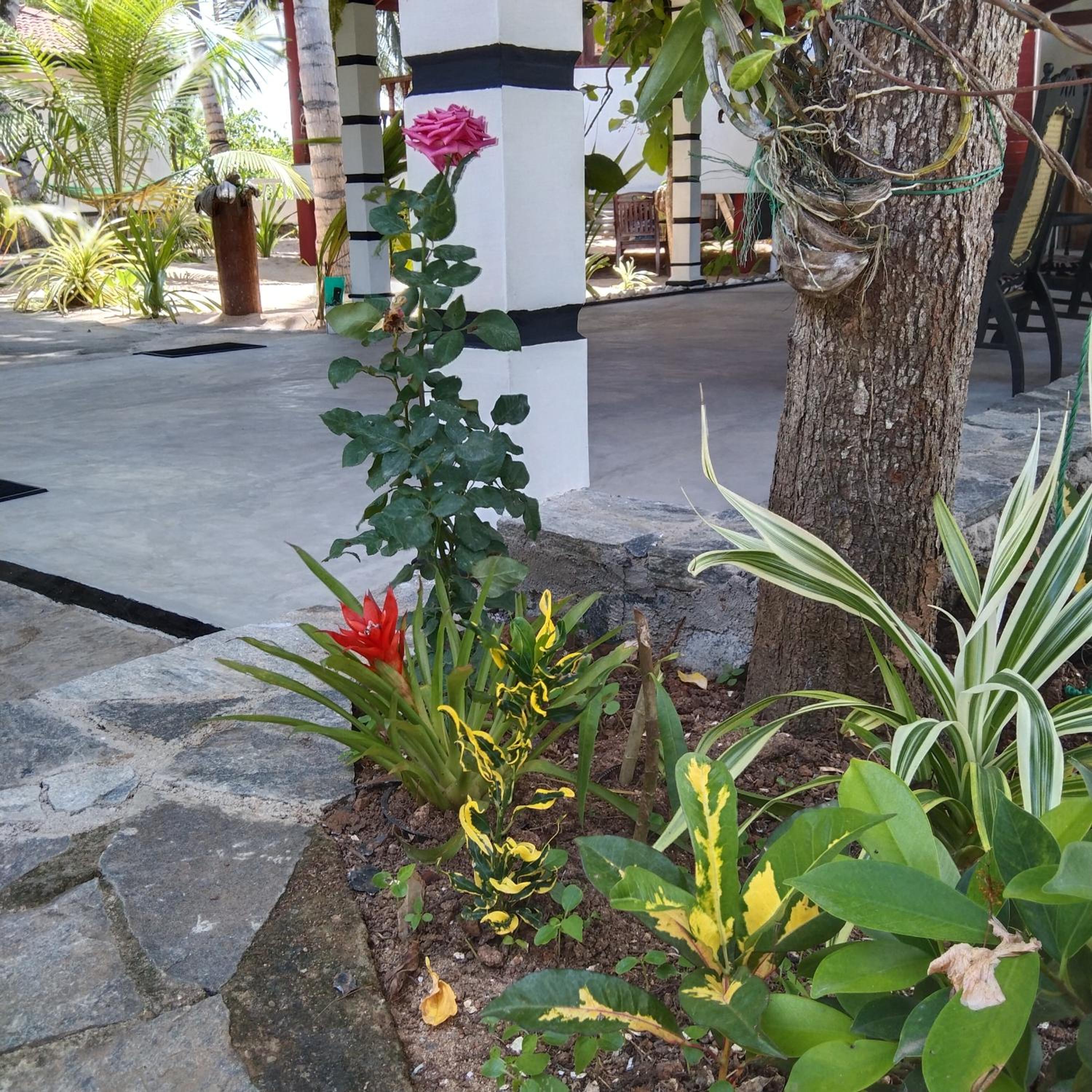 Photo 27