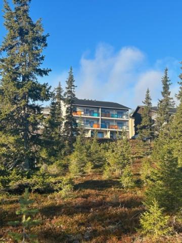 Arctic Hill Apartment Ylläs