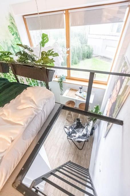 Jungle in Vilnius City Center by URBAN RENT view 4