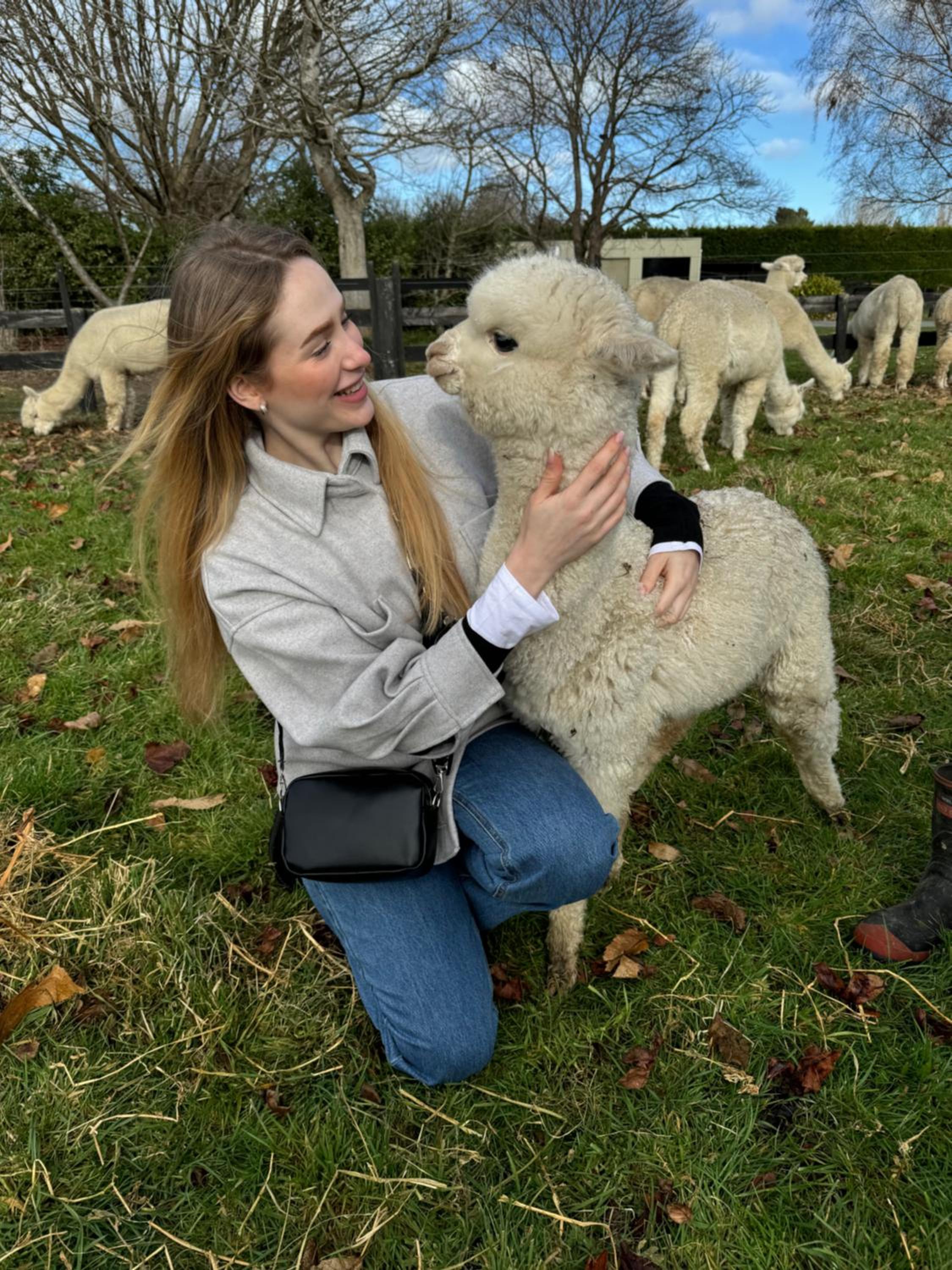 Silverstream Alpaca Farmstay & Tour