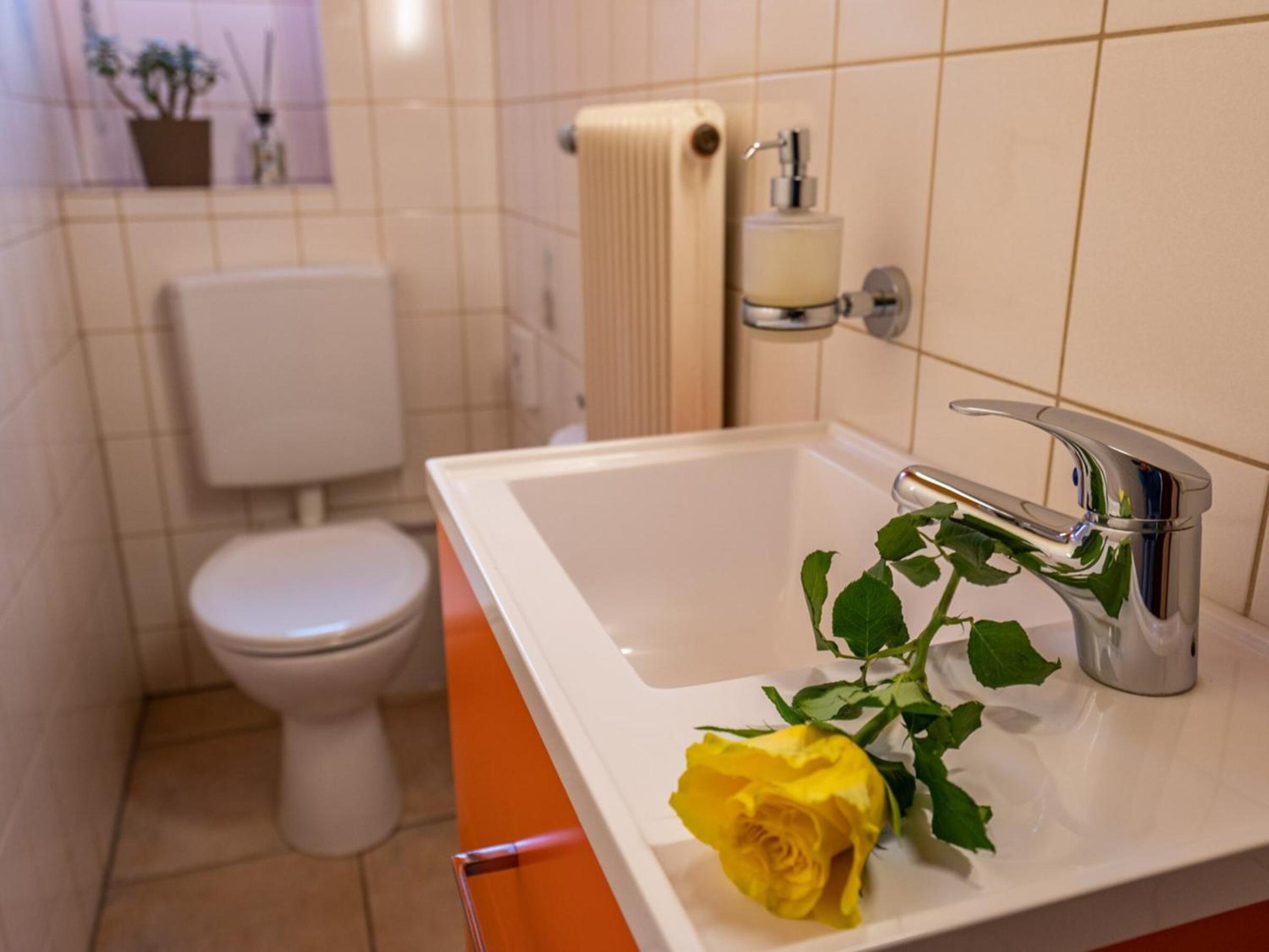 Ferienwohnung Dietsche Todtnau