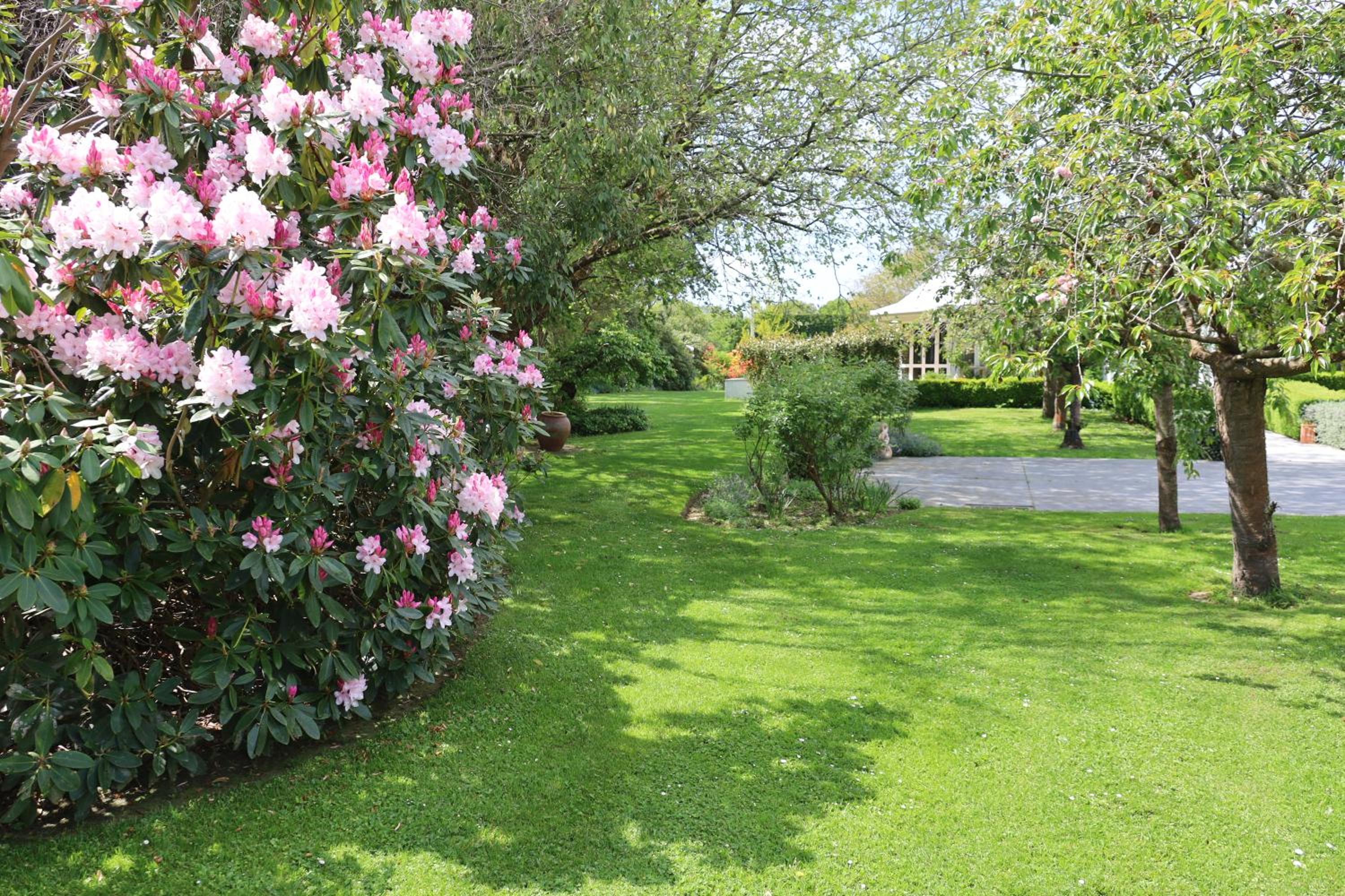 Silverstream Alpaca Farmstay & Tour