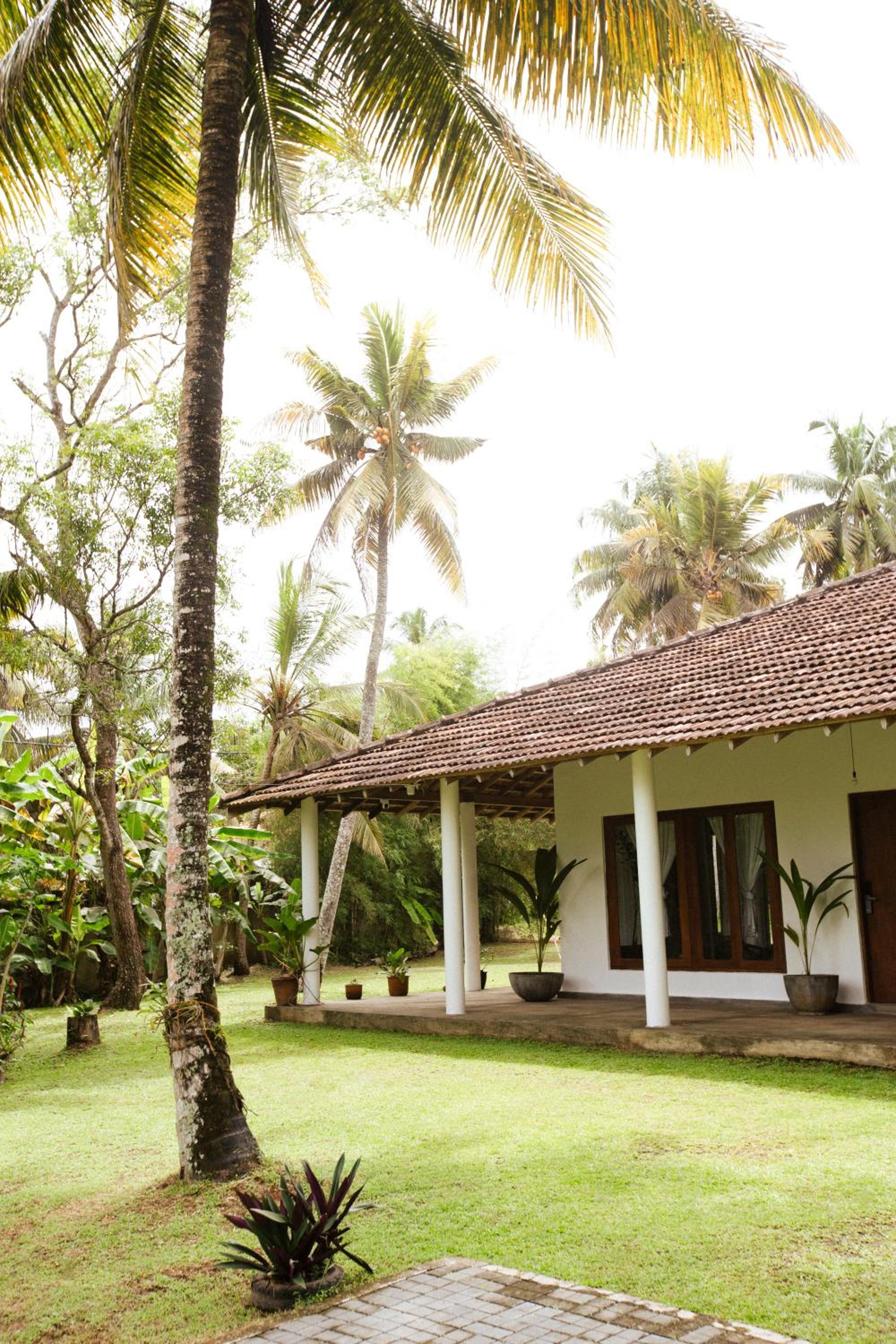 The Artist's Cottage Garden View Suite