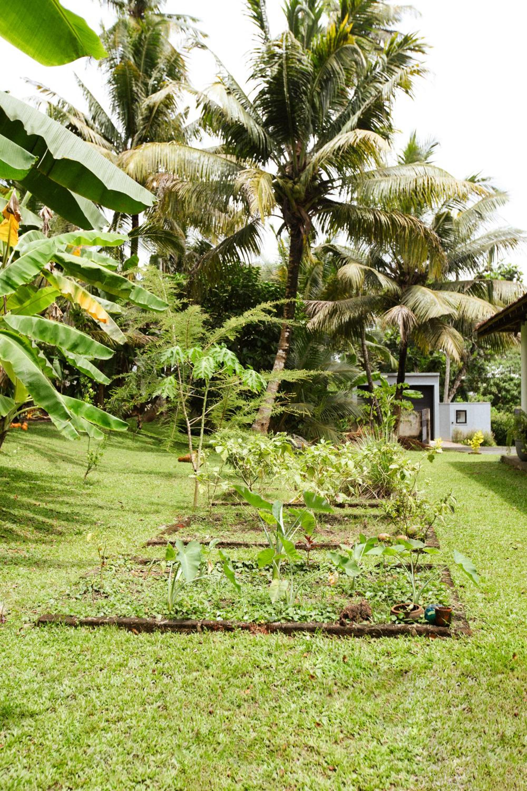 The Artist's Cottage Garden View Suite