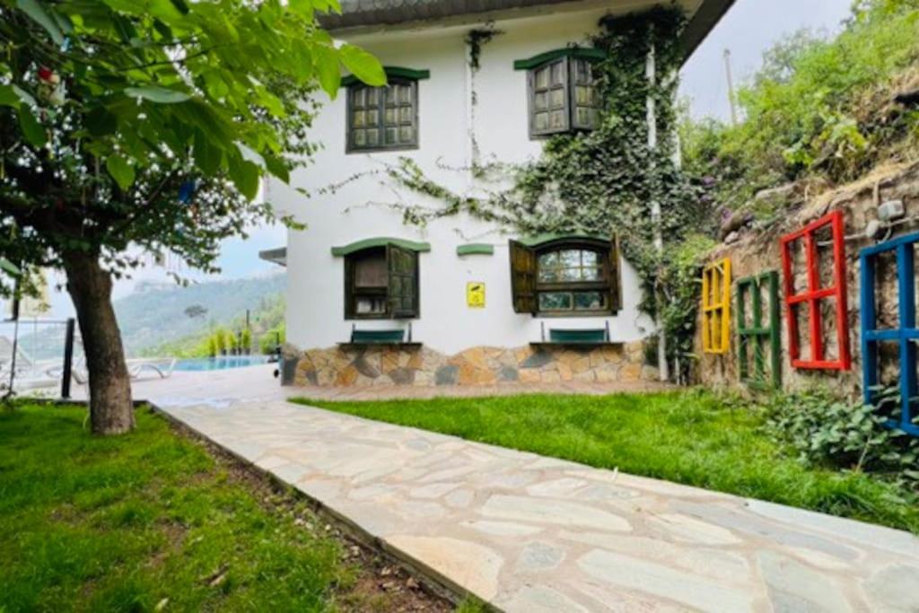Photo 17