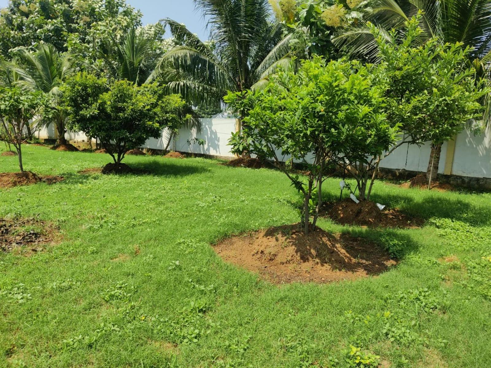 Photo 31