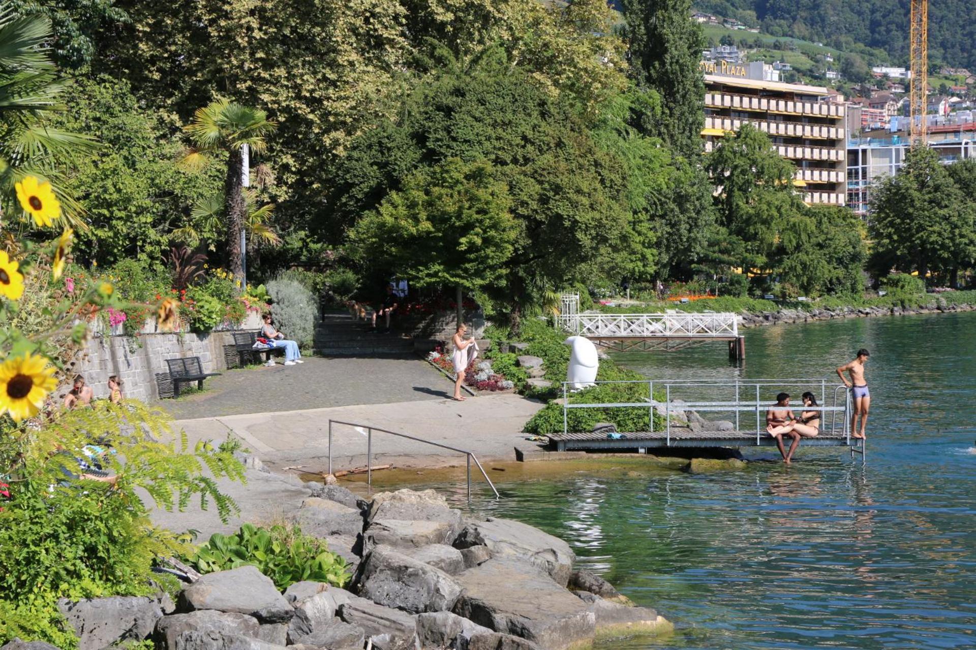 Studio au bord du lac - Vue imprenable