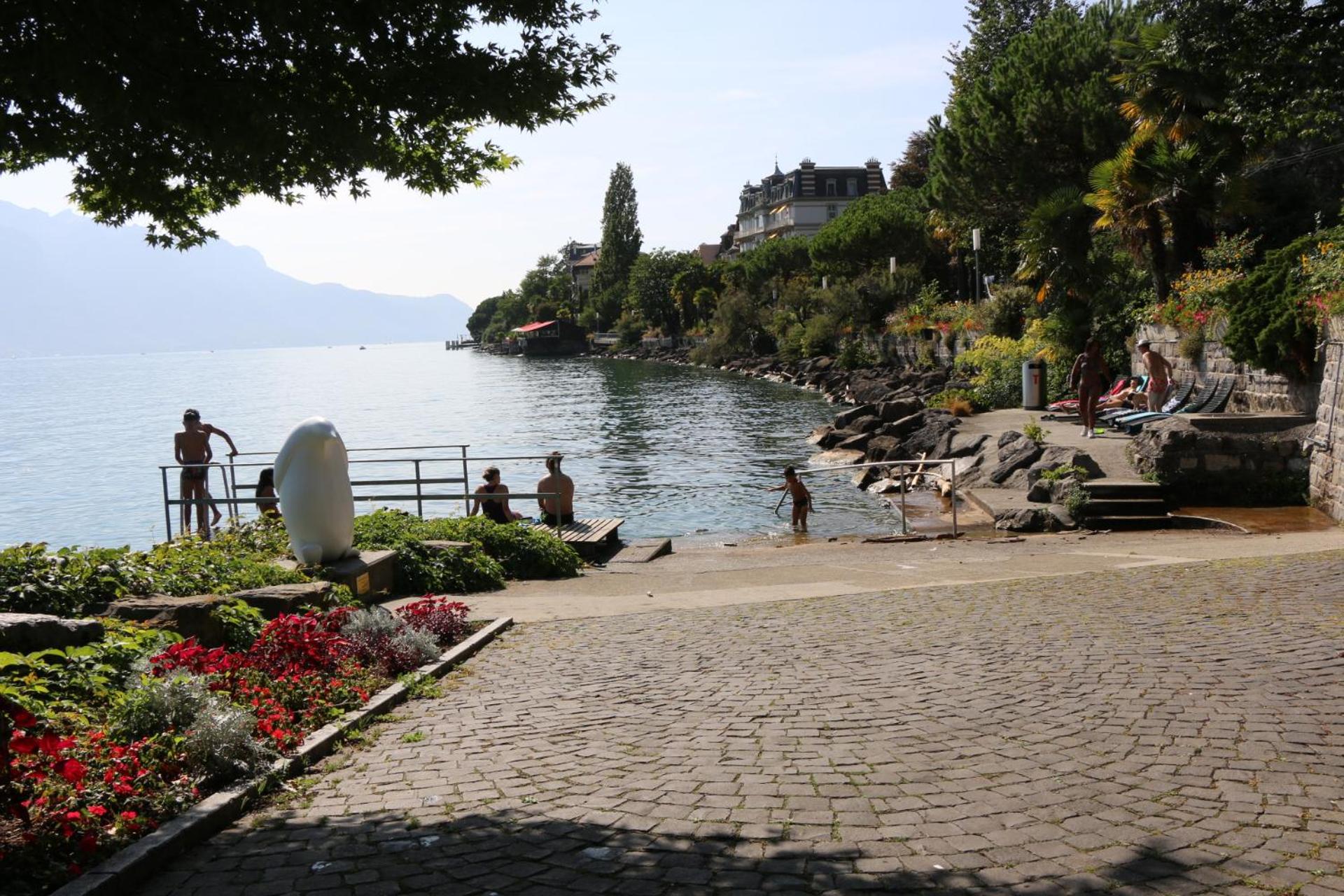 Studio au bord du lac - Vue imprenable