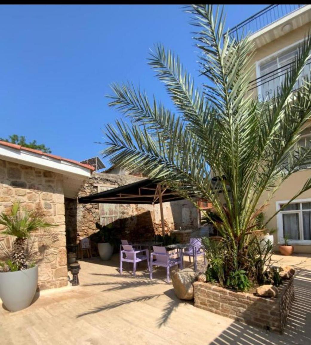 House of Good Things - Image 11