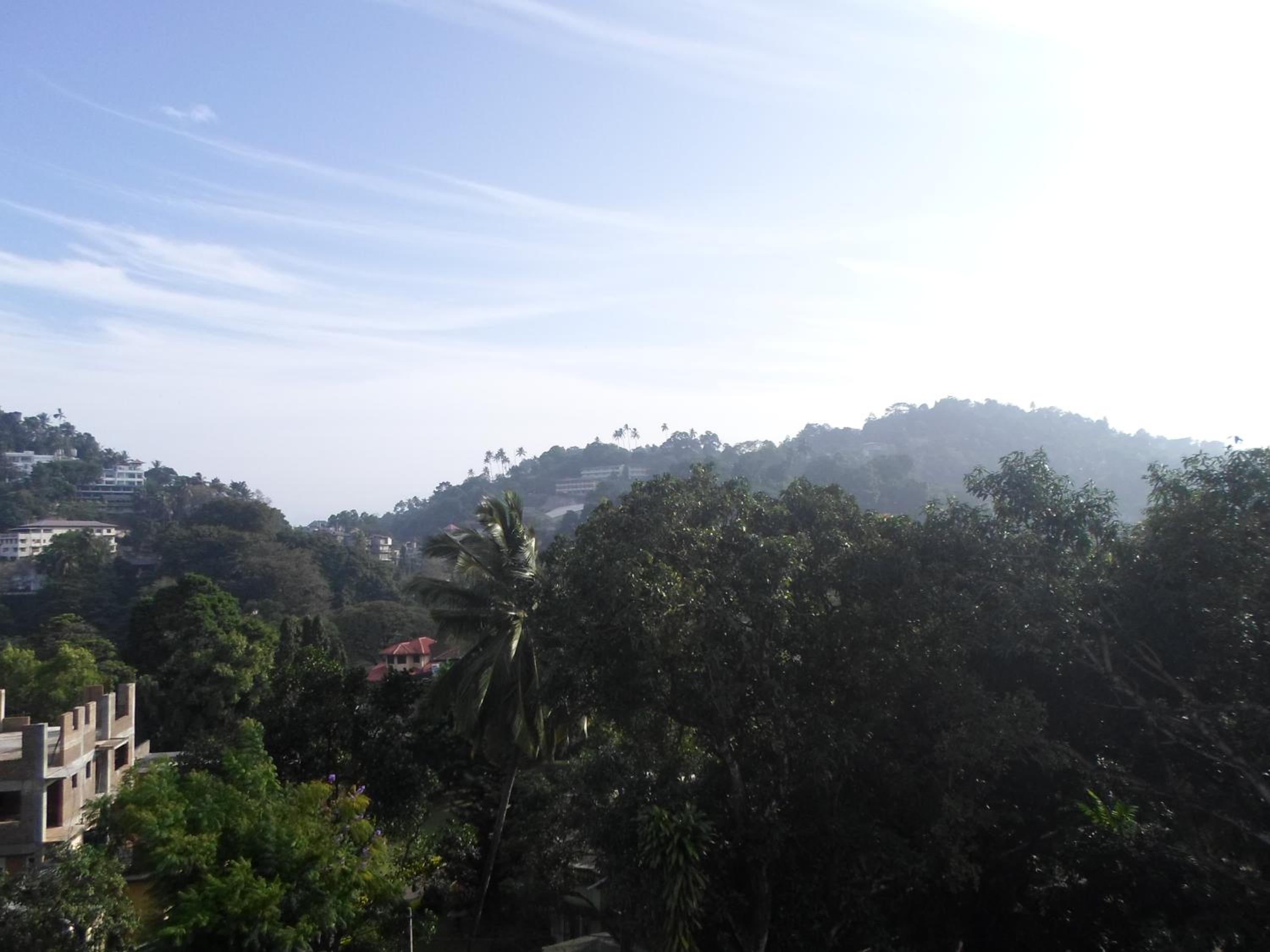 King Of Kandy