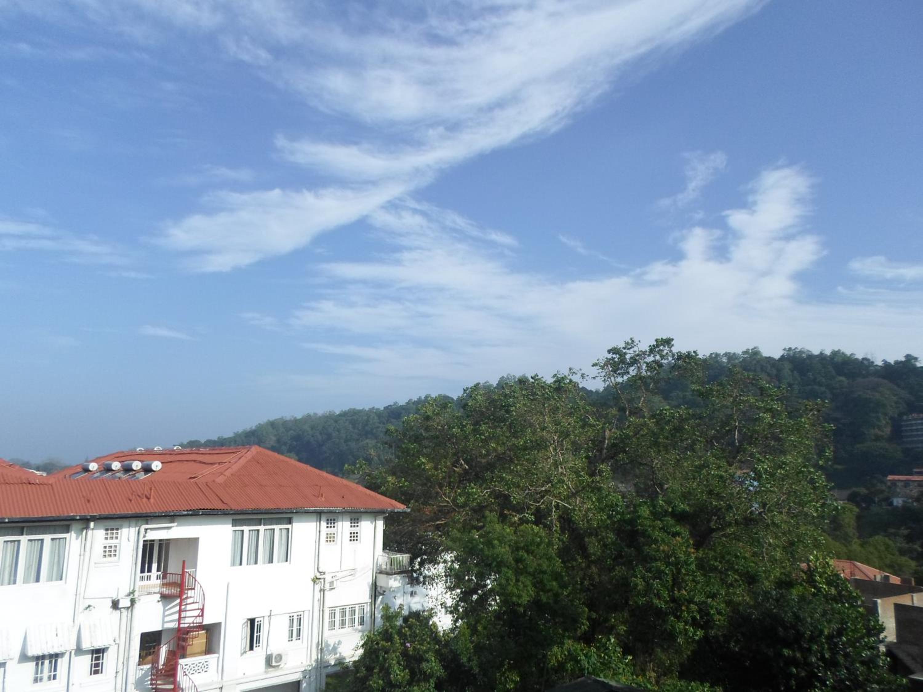 King Of Kandy