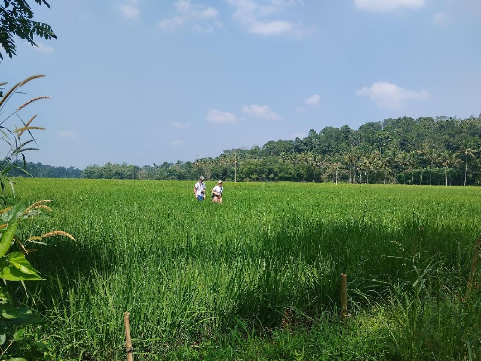 Bhuvanam homestay