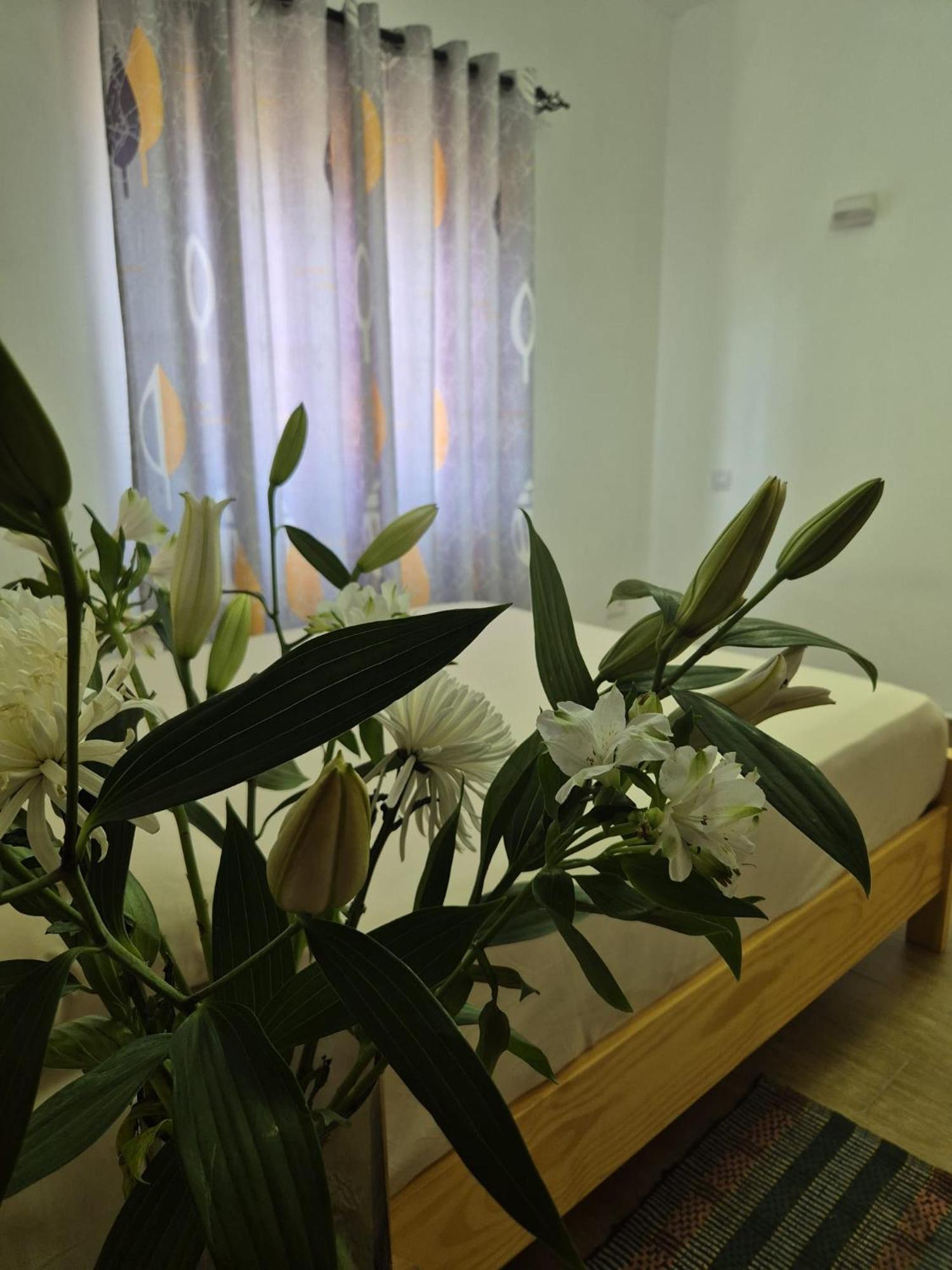 Villa Damas 2 Private Residence by IHR view 5