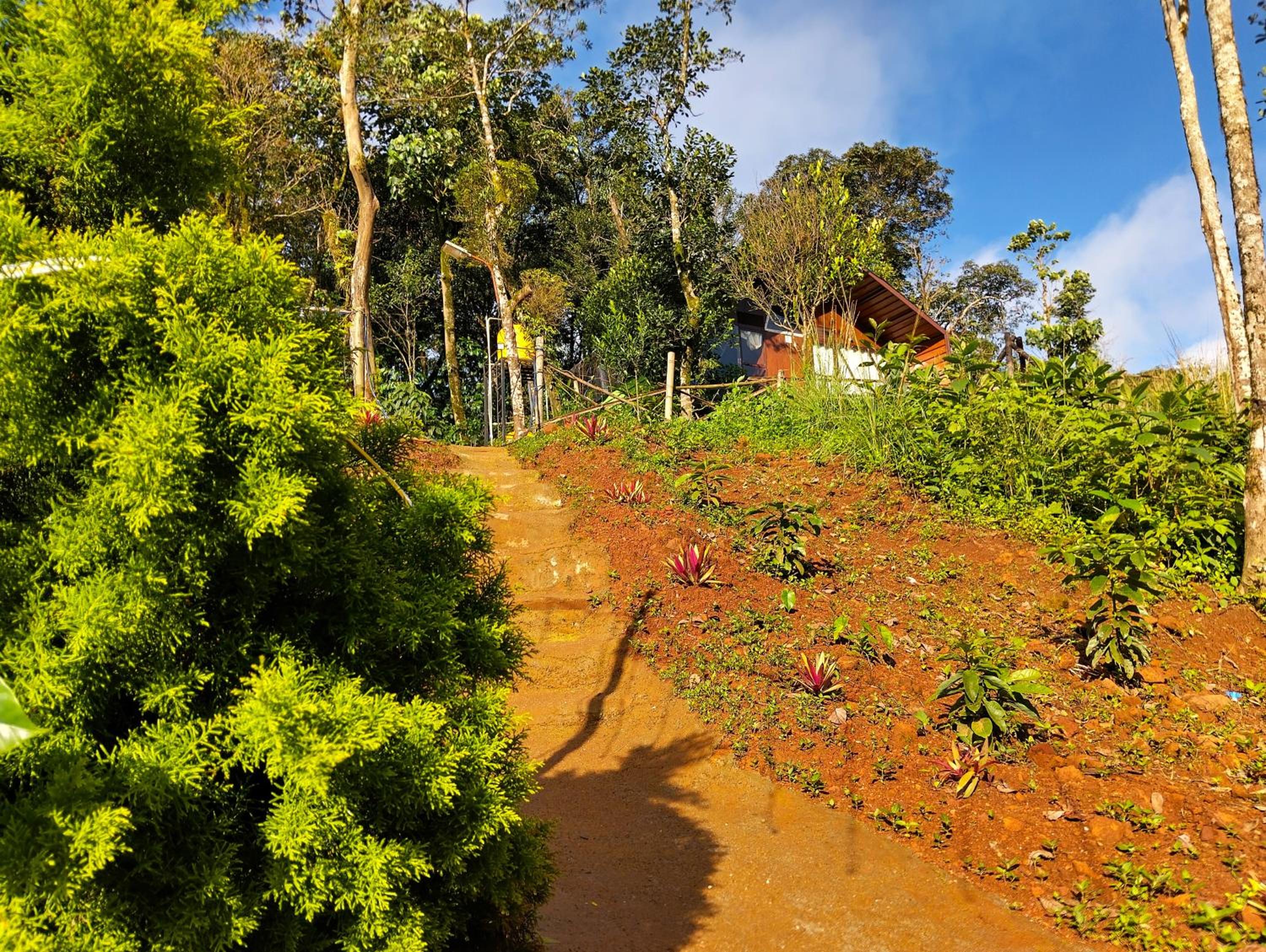 42 GALIBEEDU view 2